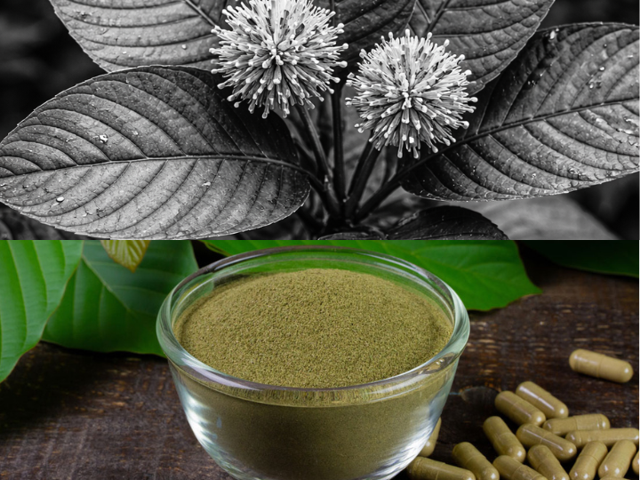 What is Kratom and 7-OH?