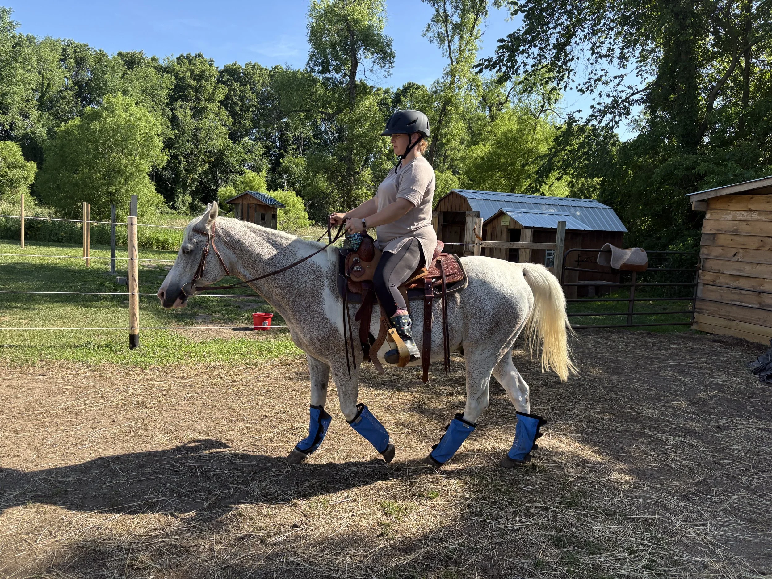 A person riding a white horse outdoors on a farm or riding arena, with trees, small wooden structures, and a clear blue sky in the background.