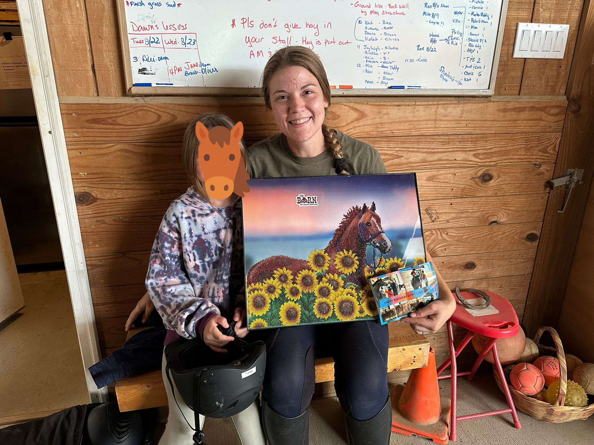 A young woman with a braid and a smiling girl with a horse face sticker holding a diamond painting of a horse in a sunflower field. They are sitting in a wooden-paneled room with various sports balls and a basket on the floor. A whiteboard with handw