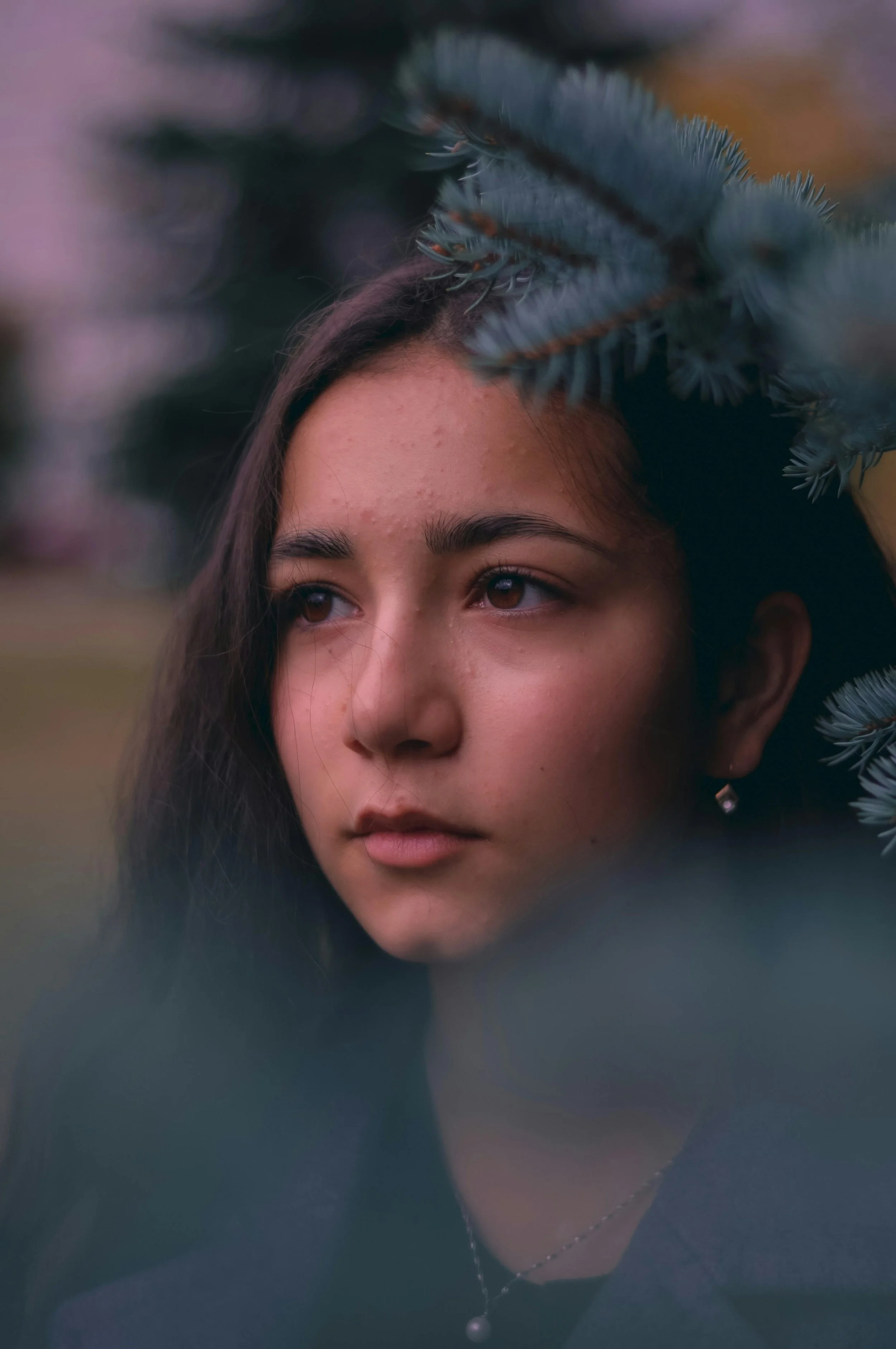 A young woman with long dark hair, brown eyes, and earrings, looking thoughtfully into the distance through a framing of blue-green pine branches.