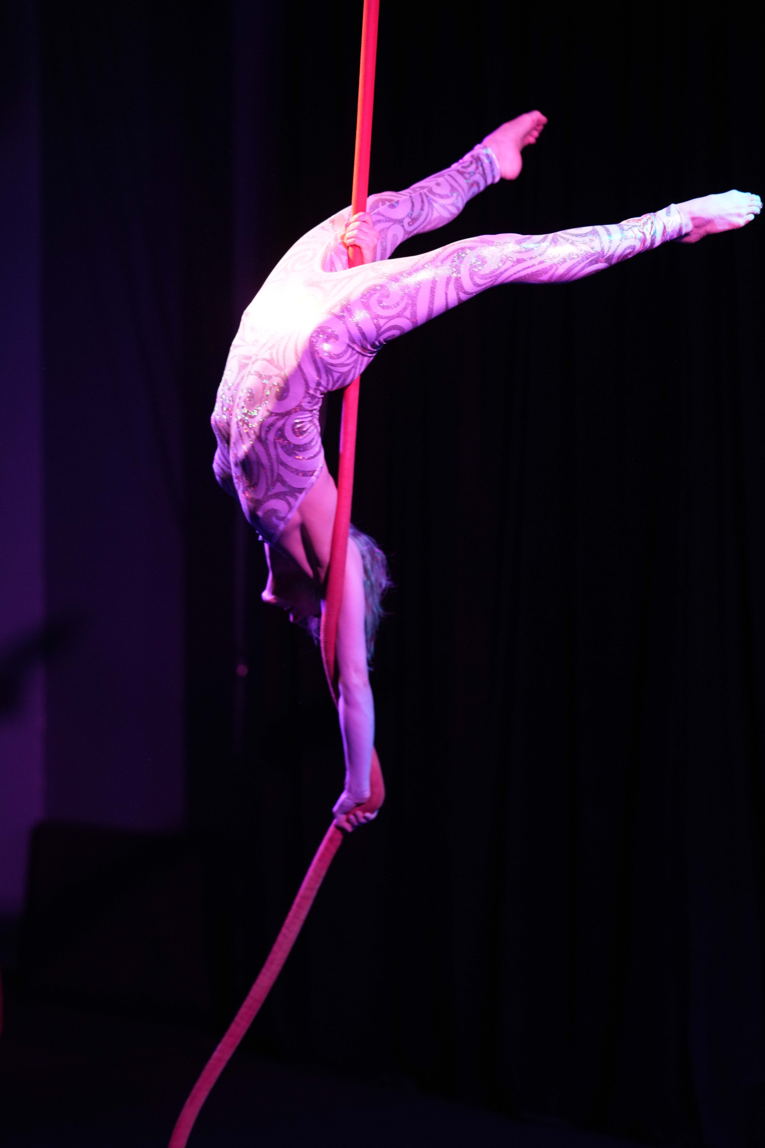 DSC09554A.jpg