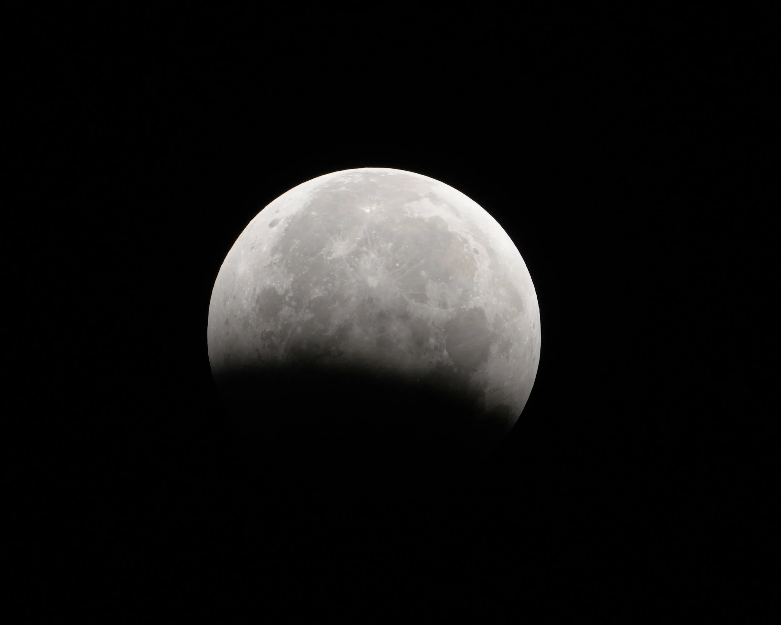 DSC01729c.jpg