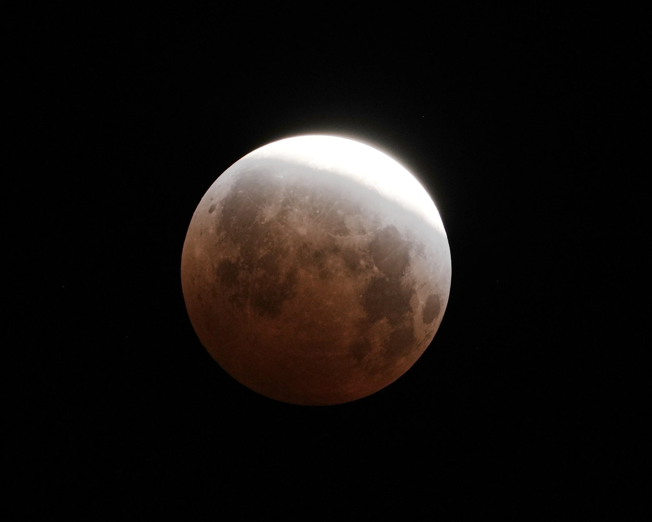 DSC01703c.jpg
