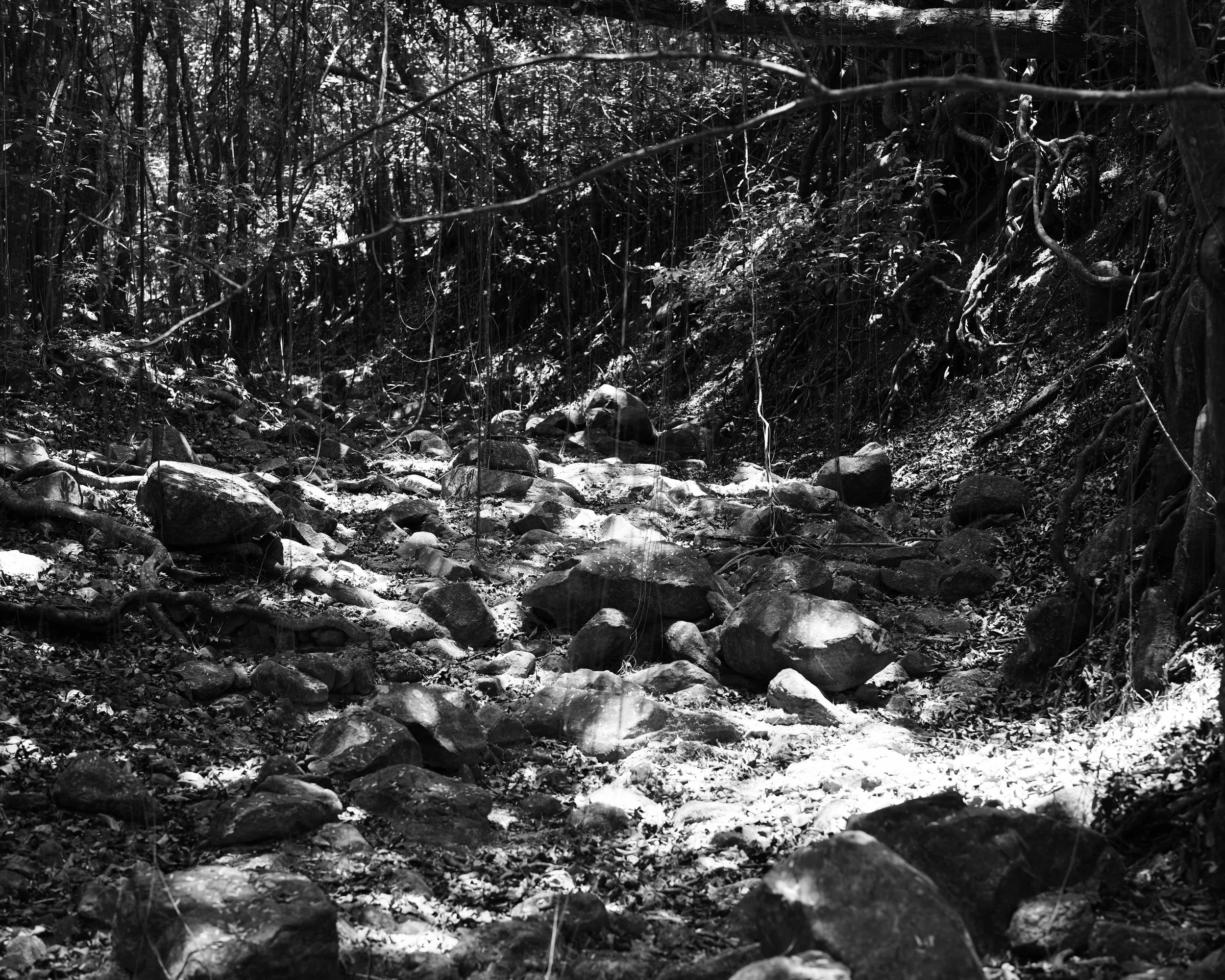 DSC01485c.jpg