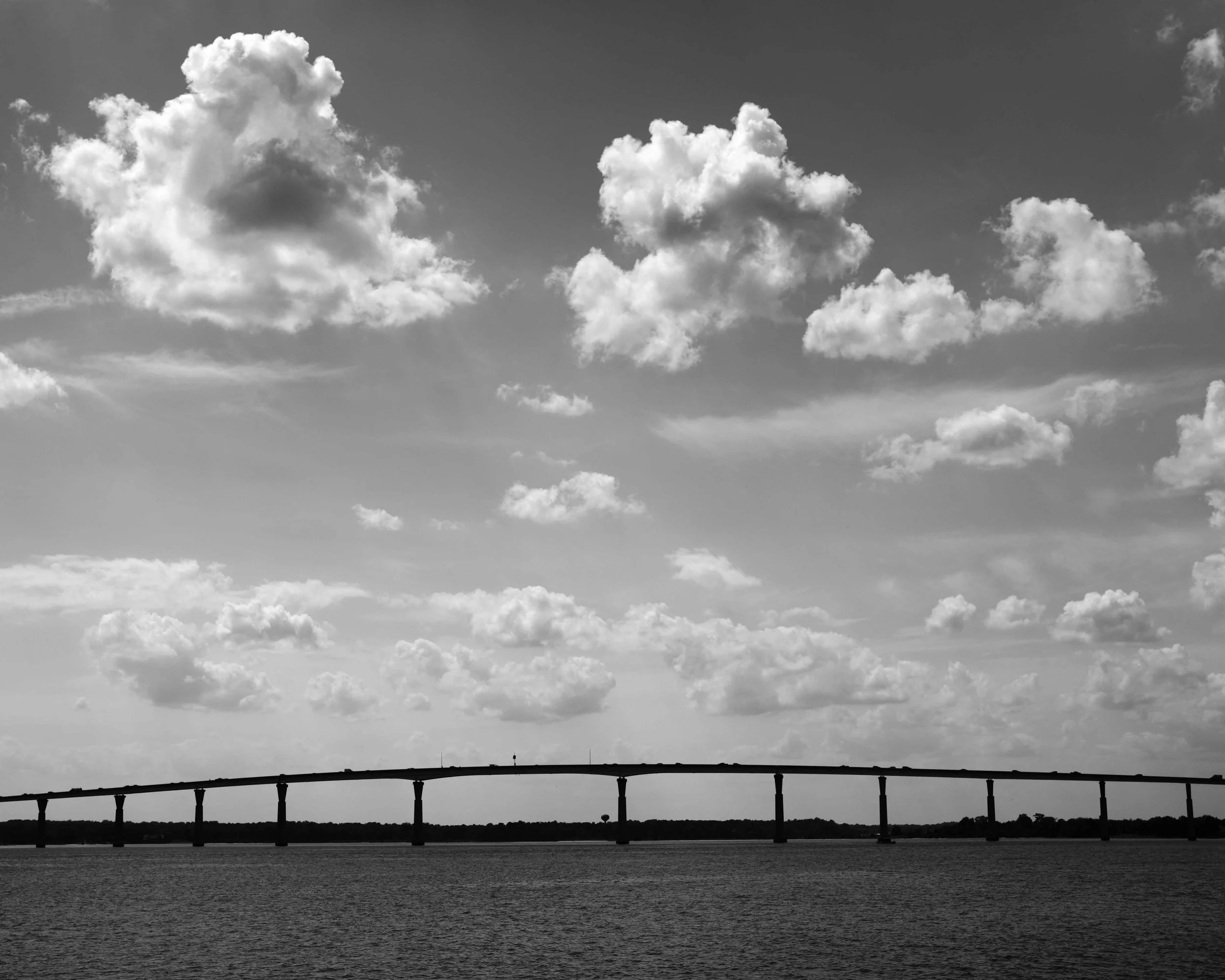 DSC02210c.jpg
