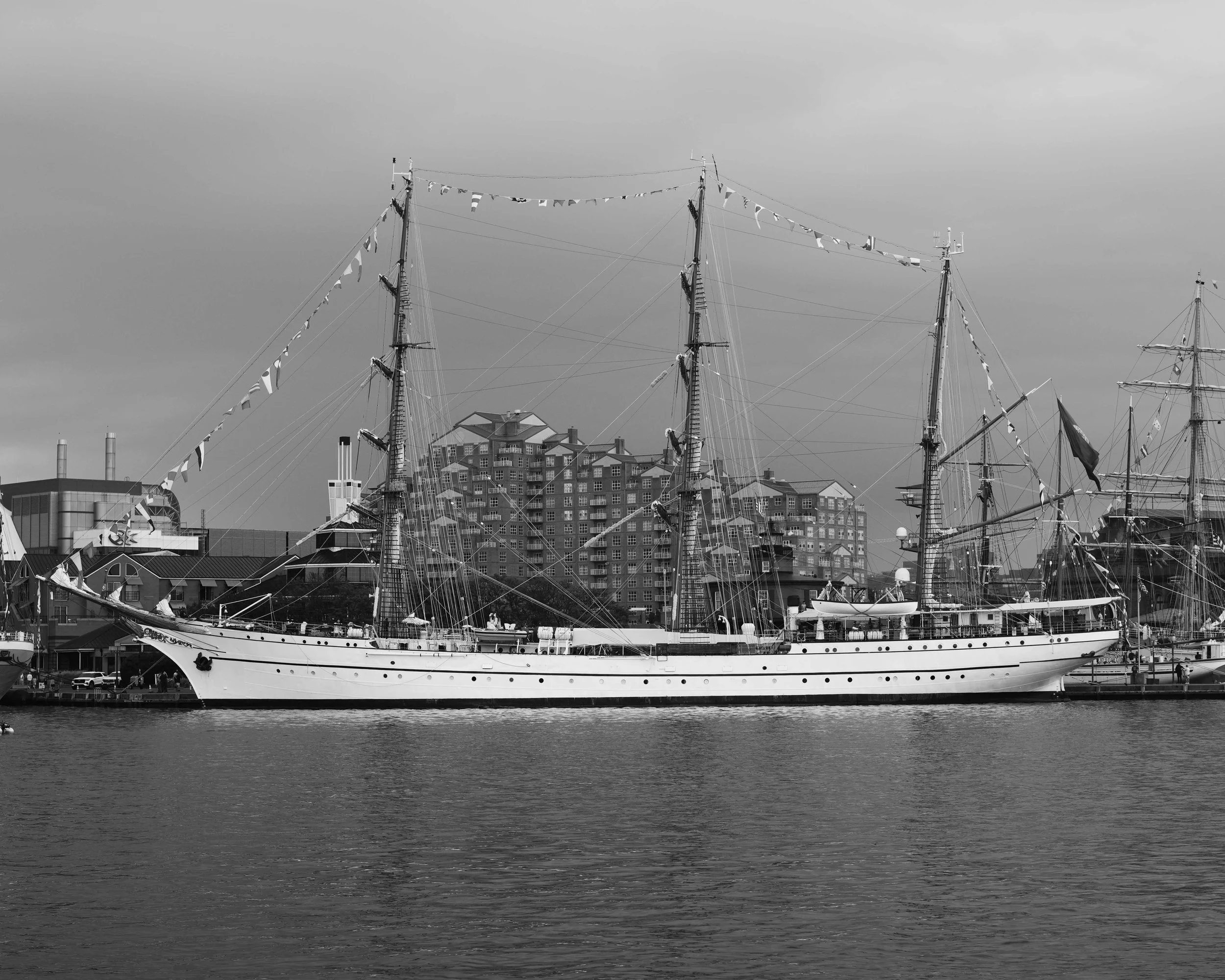 DSC02262c.jpg