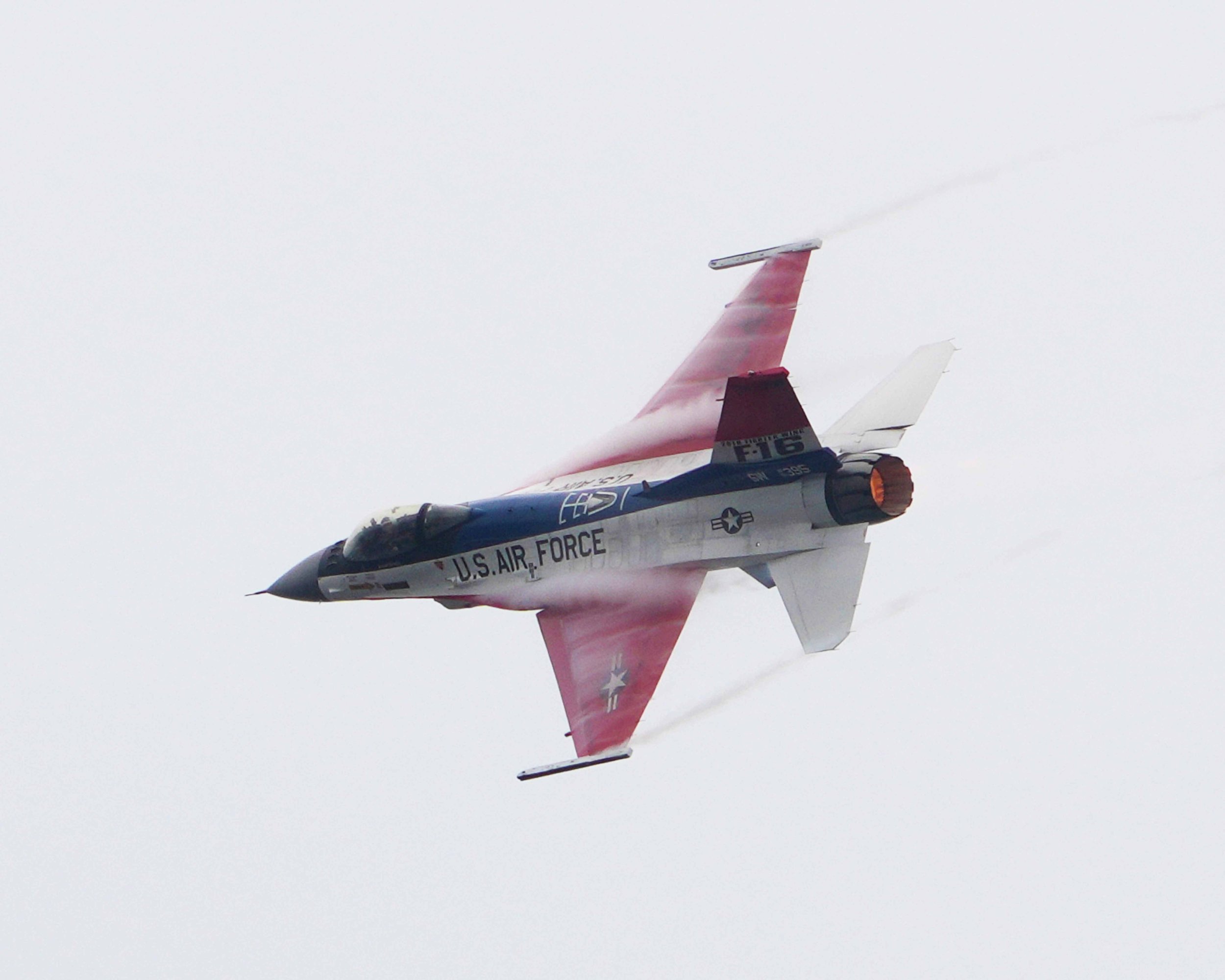 DSC01191c.jpg