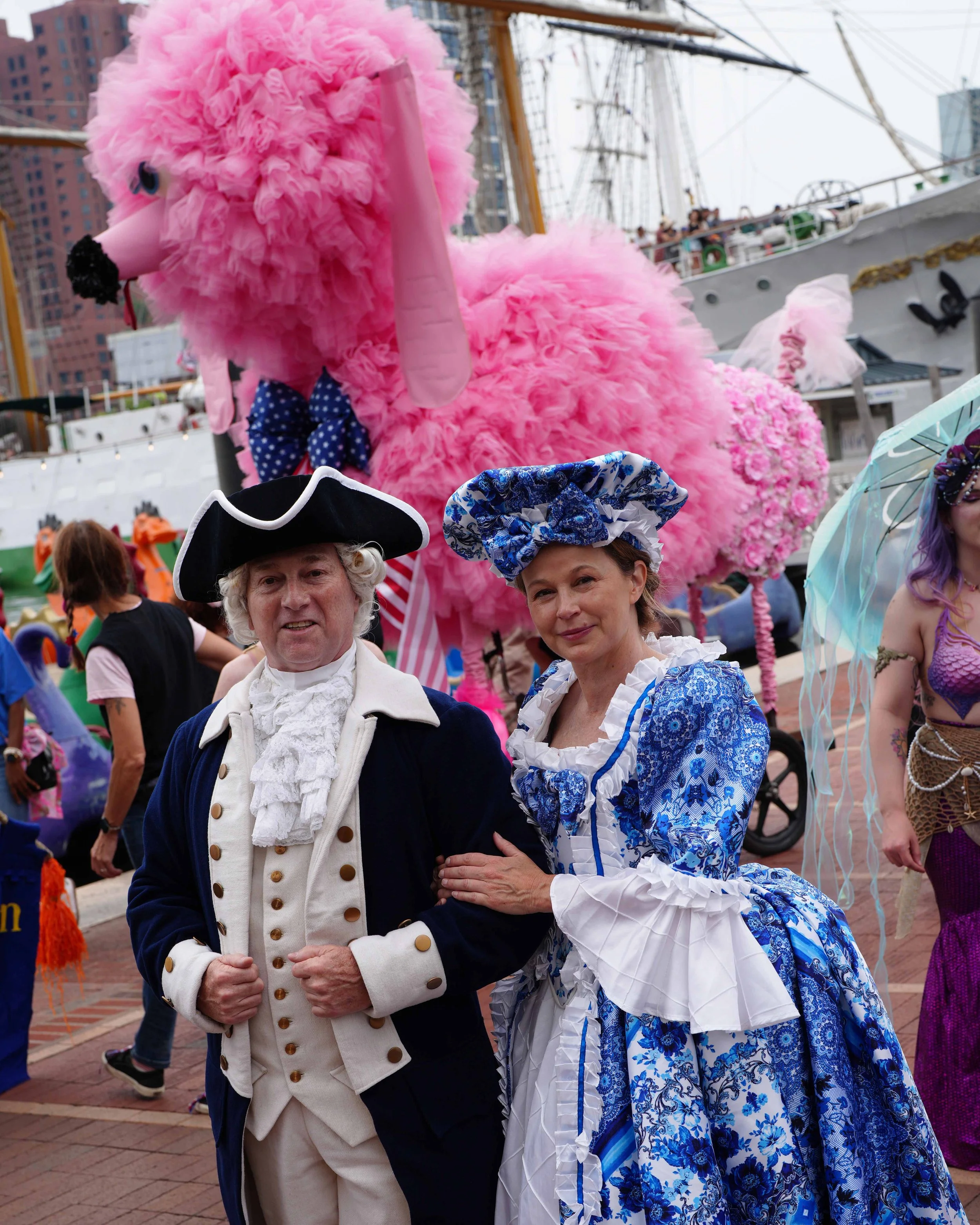 DSC02431c.jpg