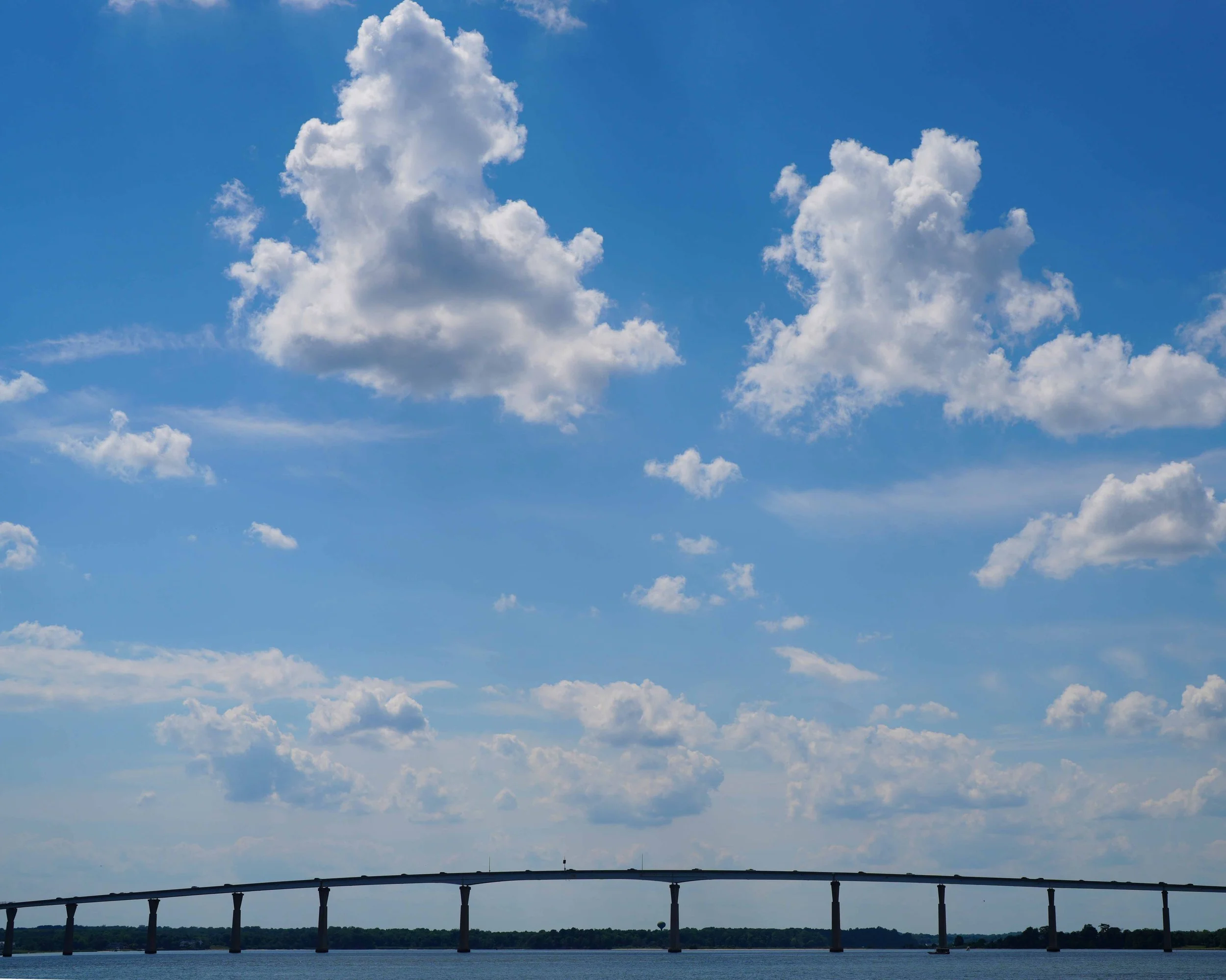 DSC02214c.jpg
