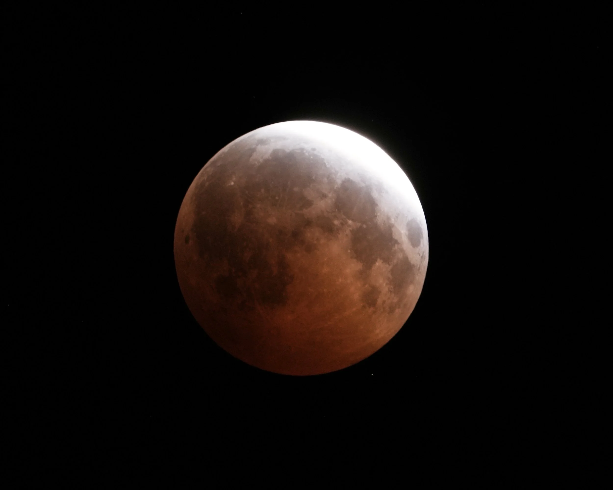 DSC01680c.jpg