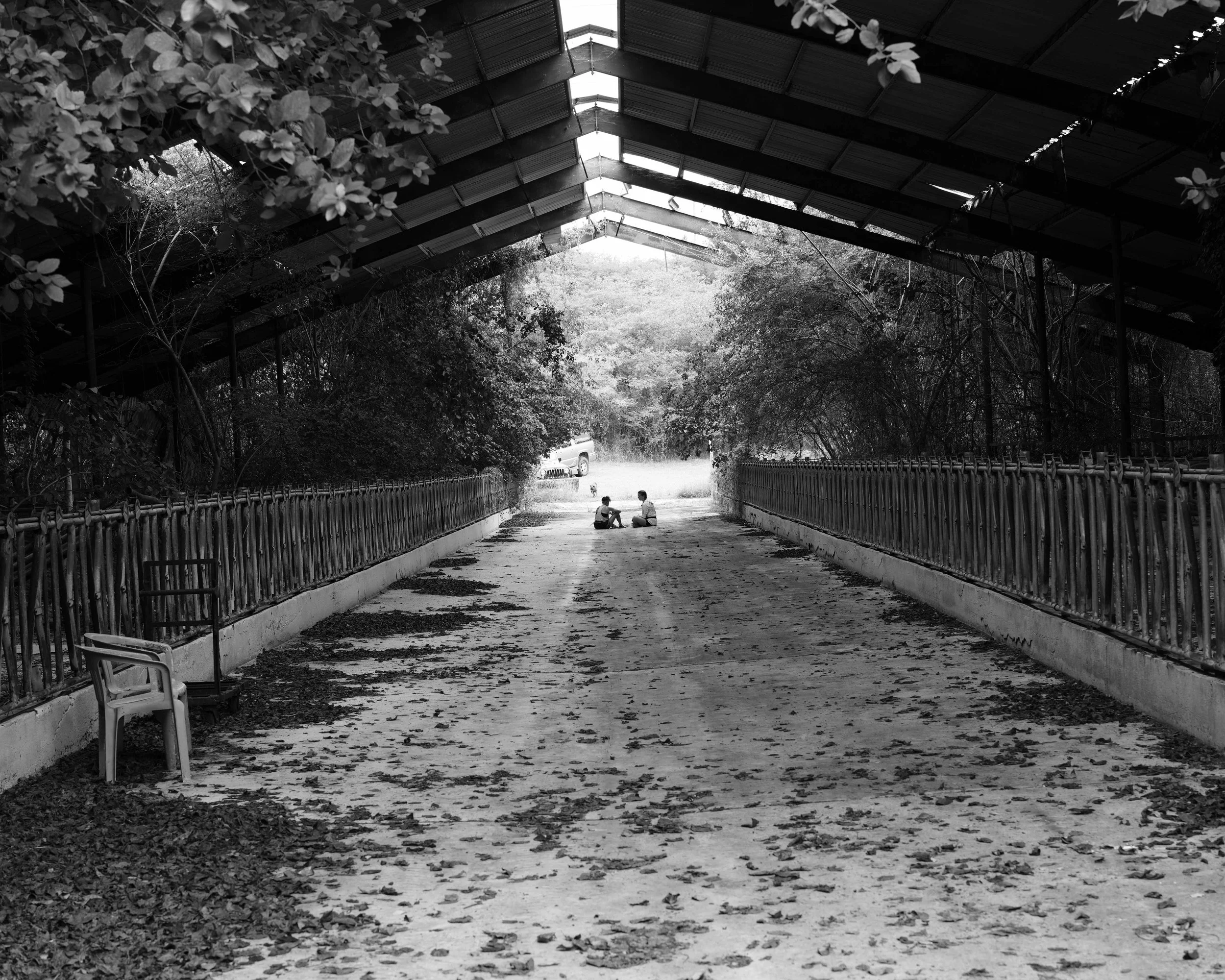 DSC01712c.jpg