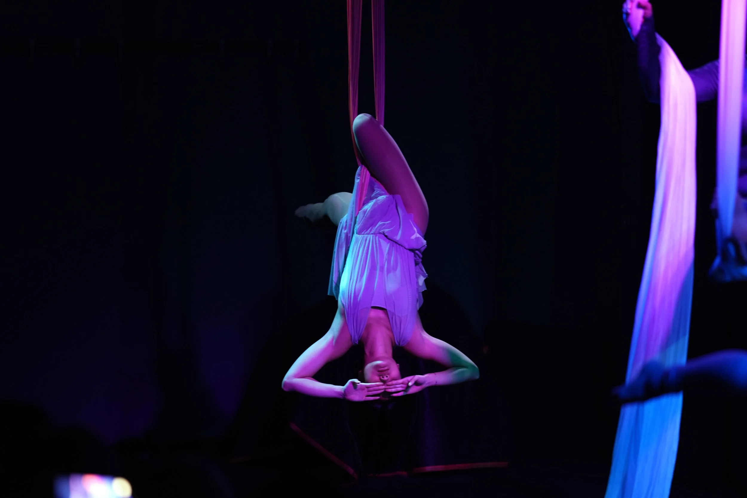 DSC08662A.jpg