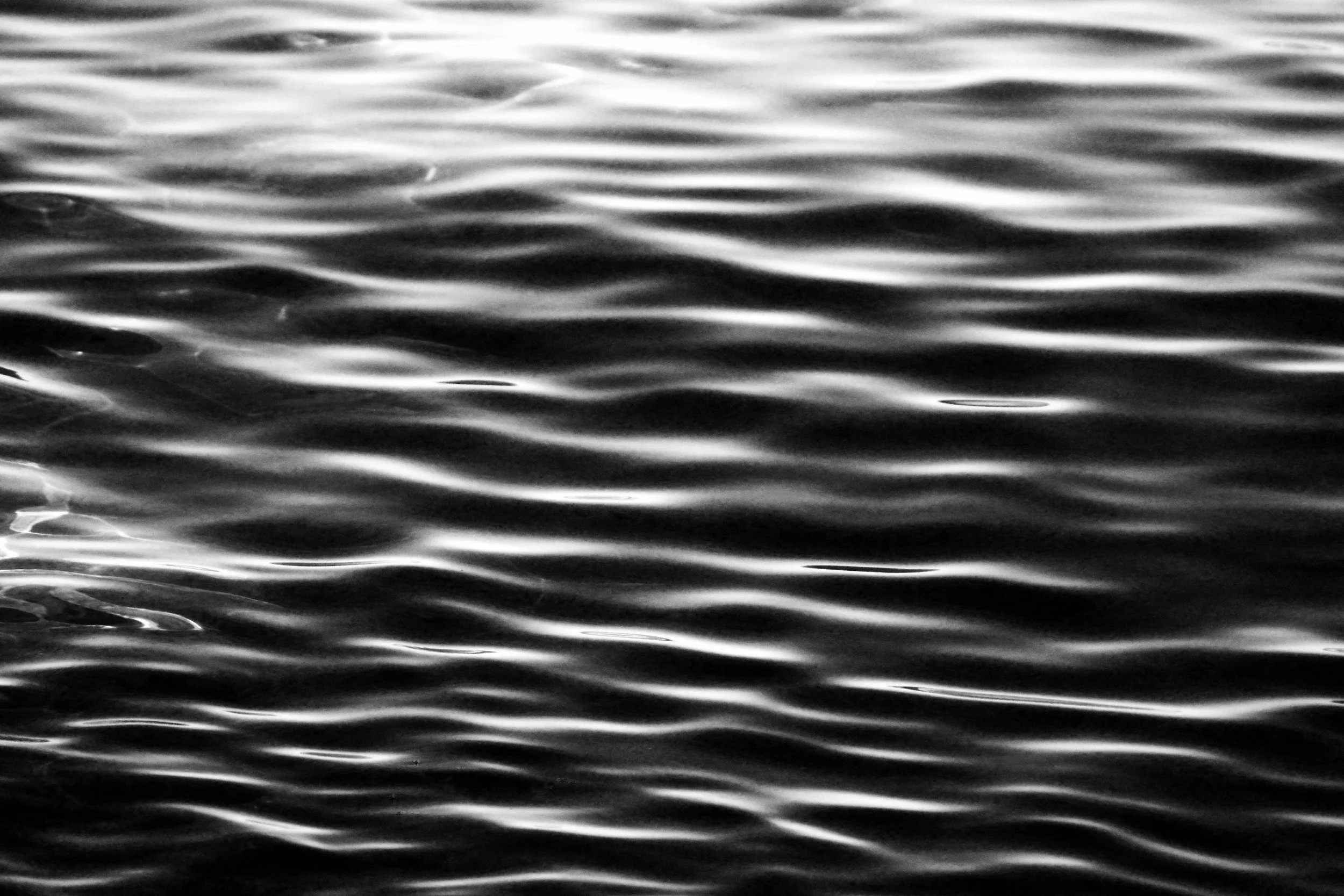 DSC03186e5bw.jpg
