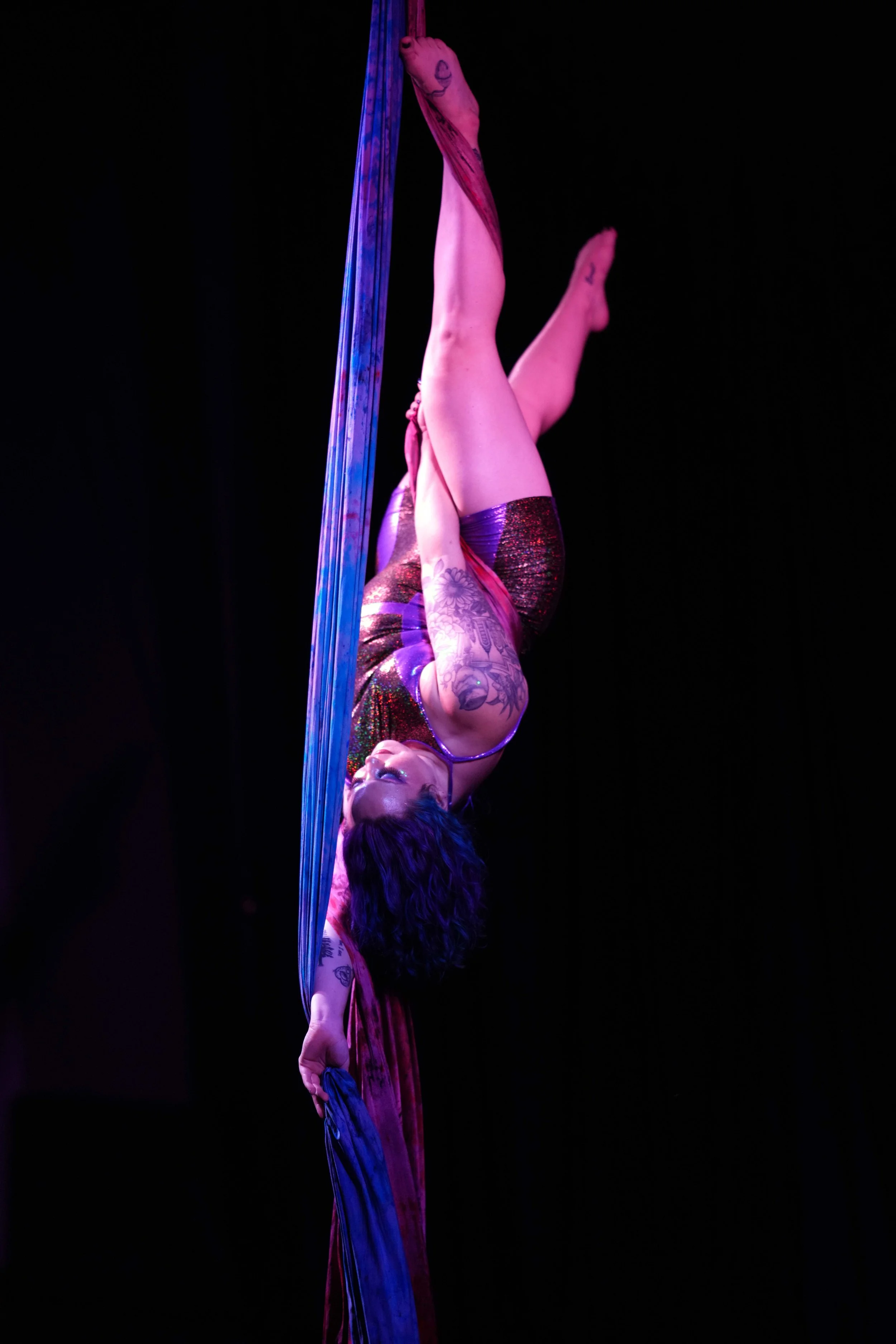 DSC02637A.jpg