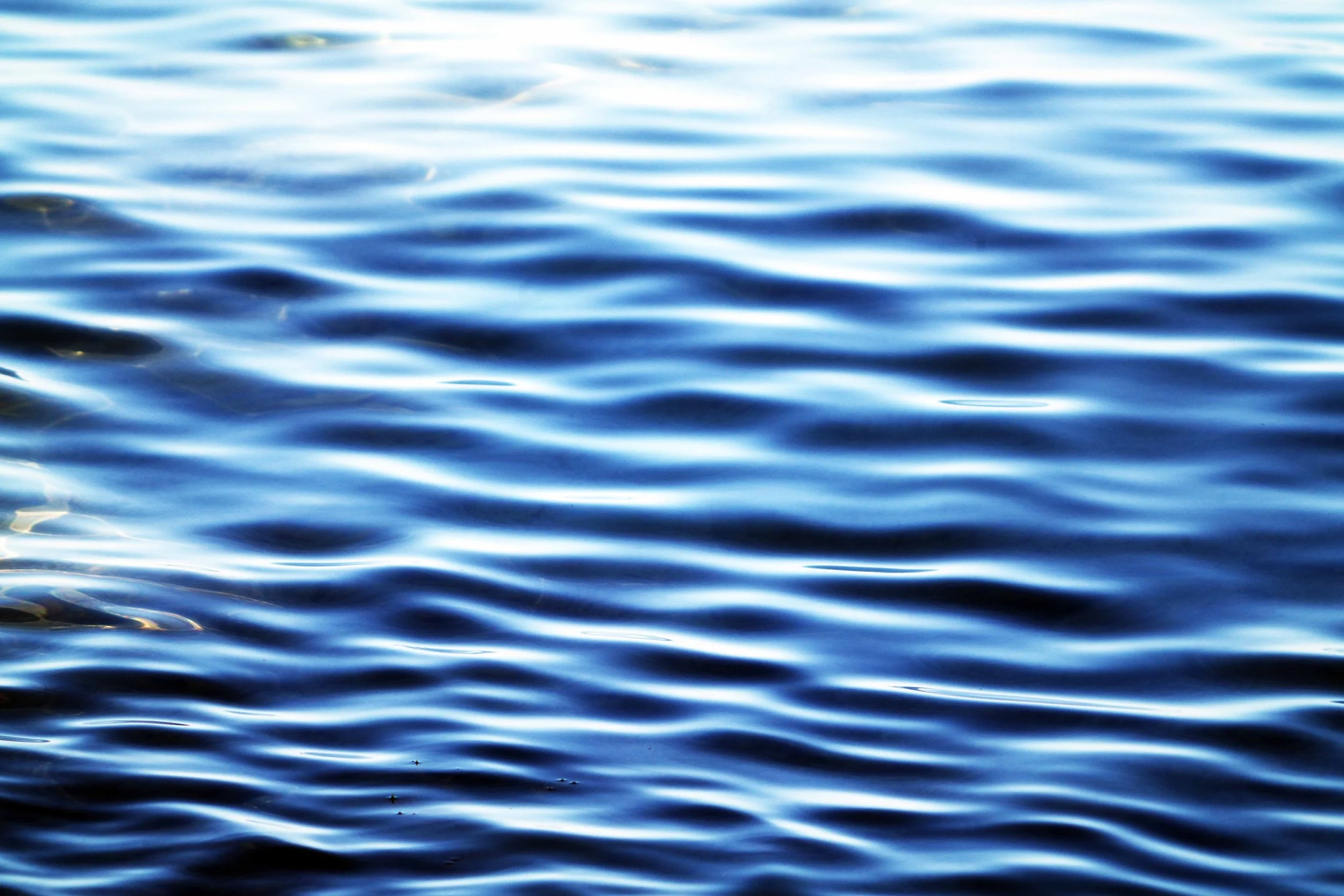 DSC03186e4.jpg