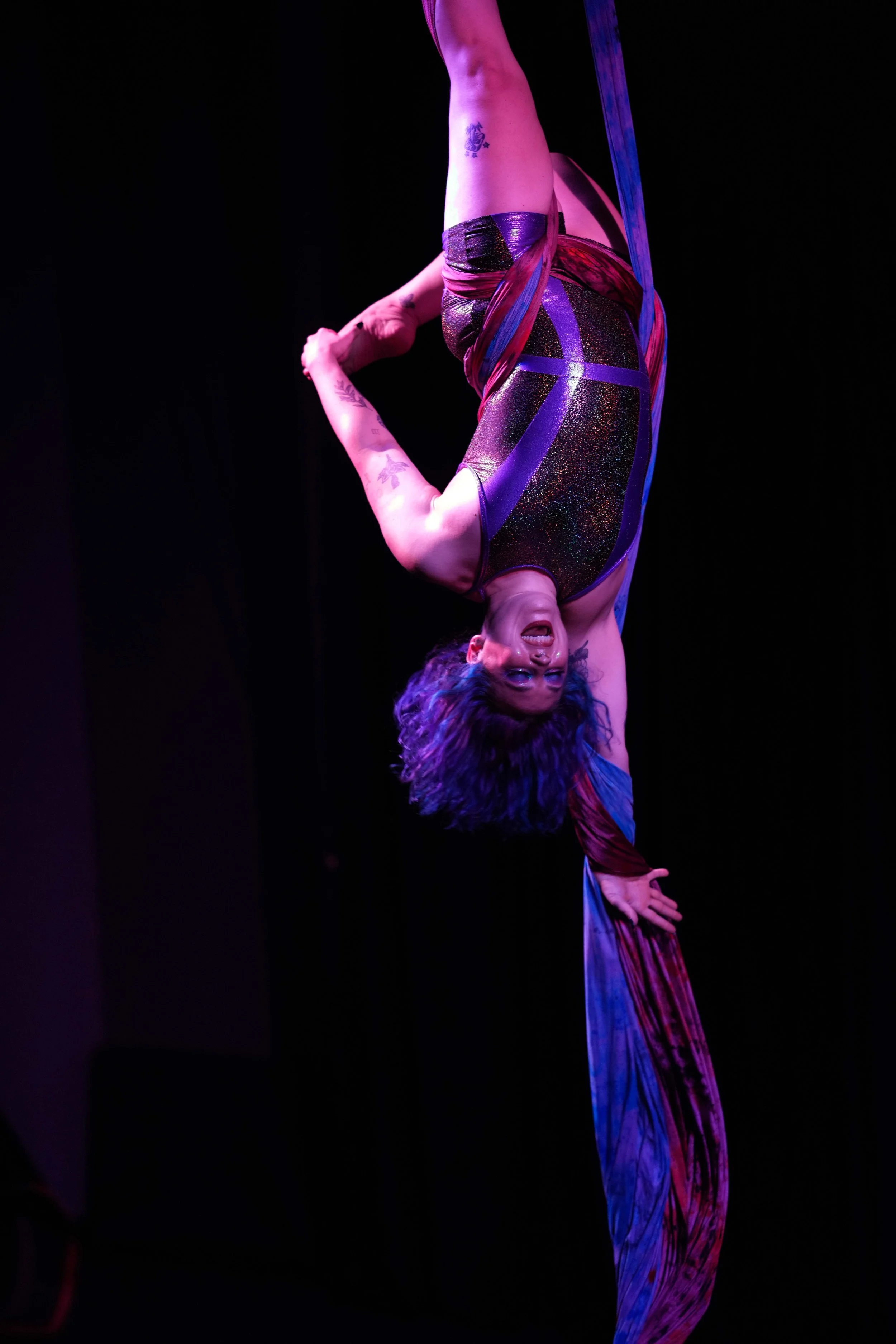 DSC02668A.jpg