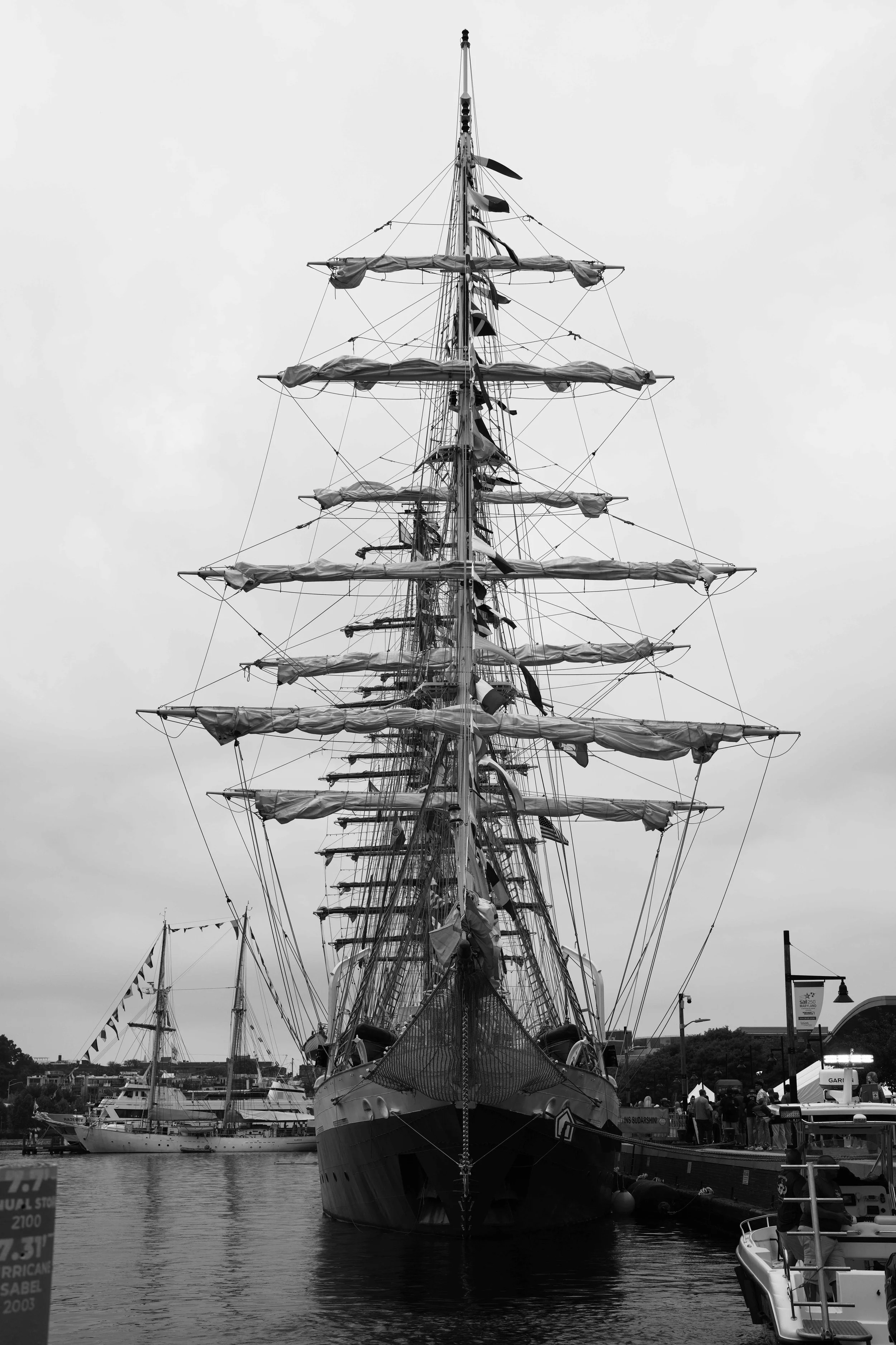 DSC02398c.jpg