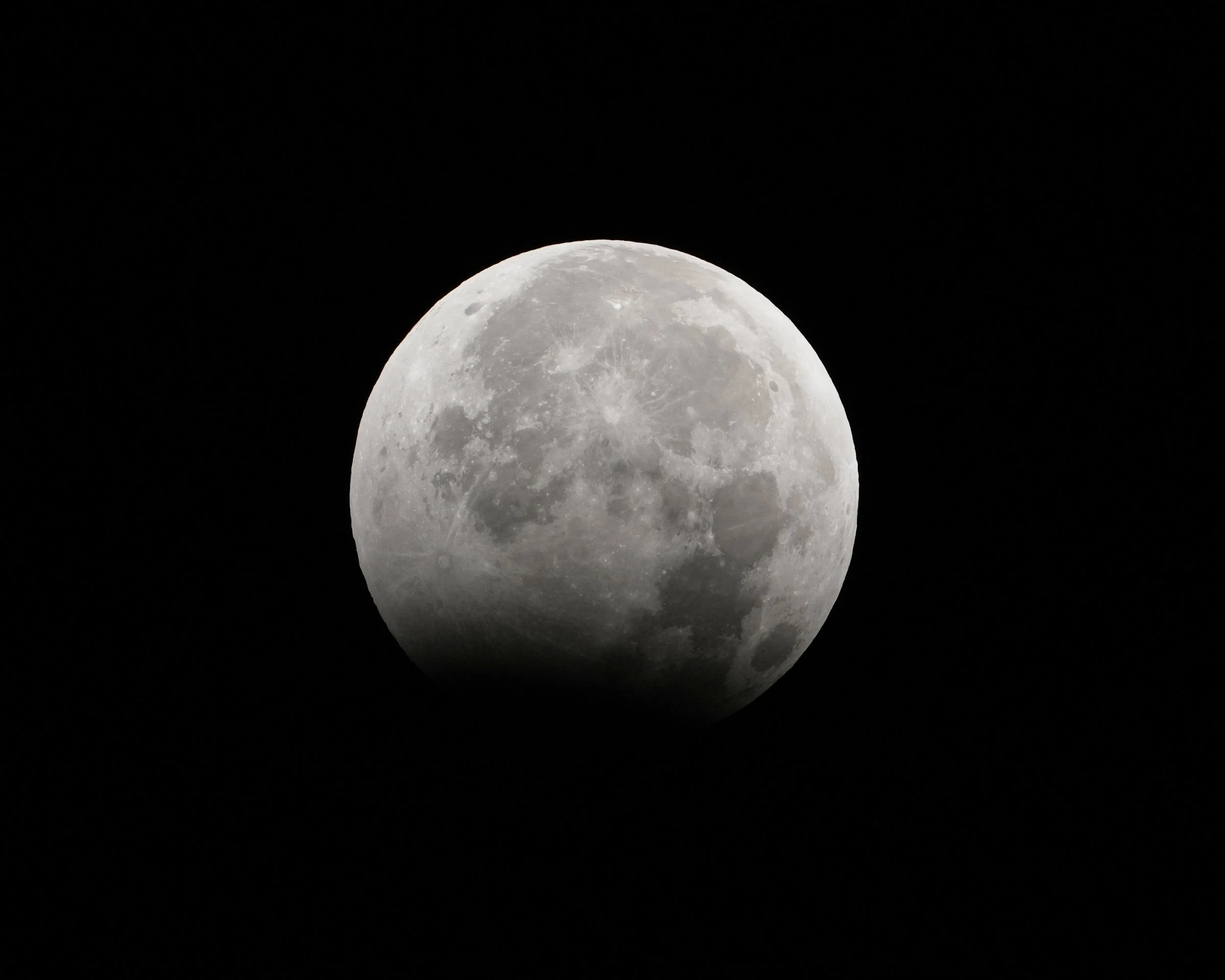 DSC01742e.jpg