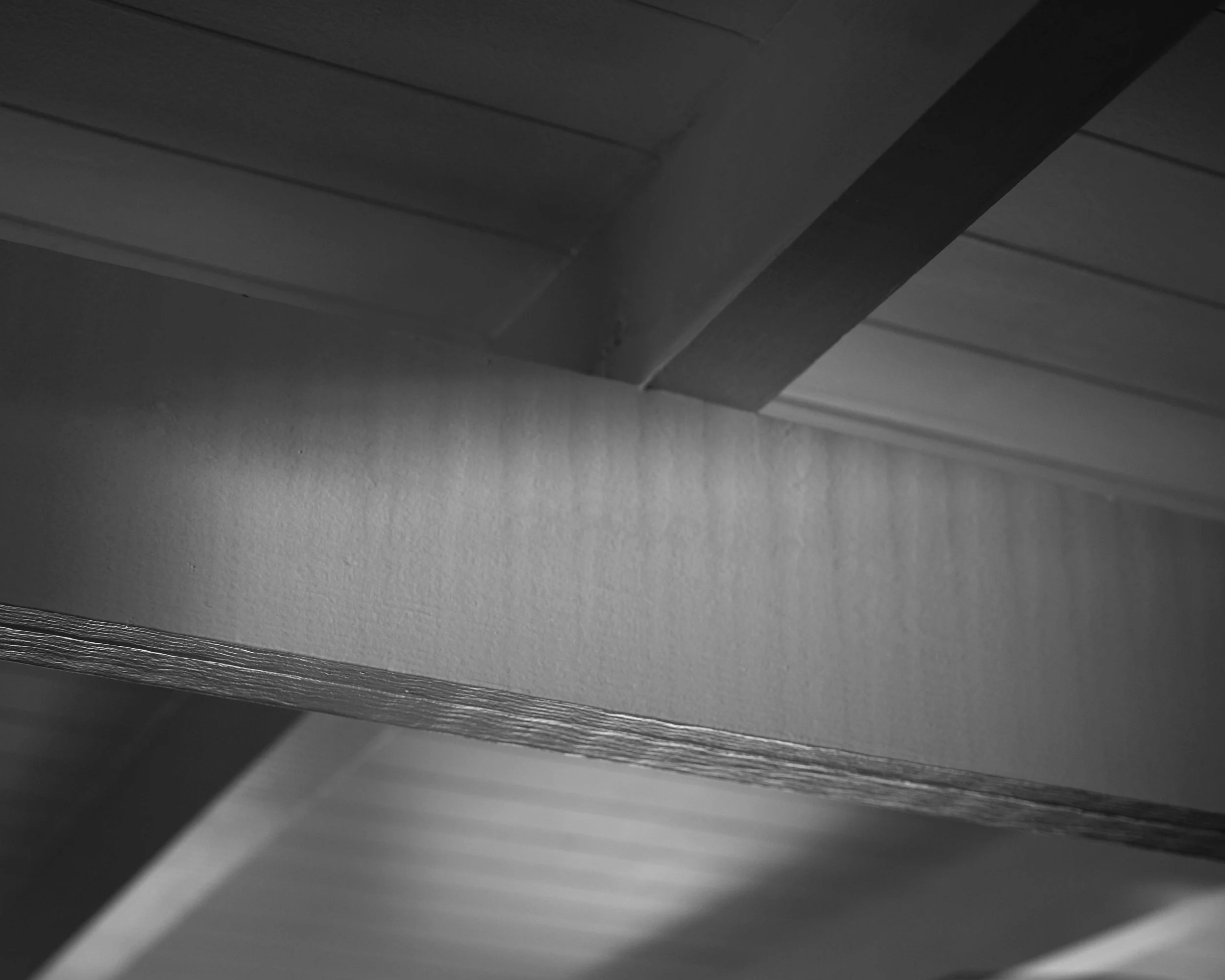 DSC00091c.jpg