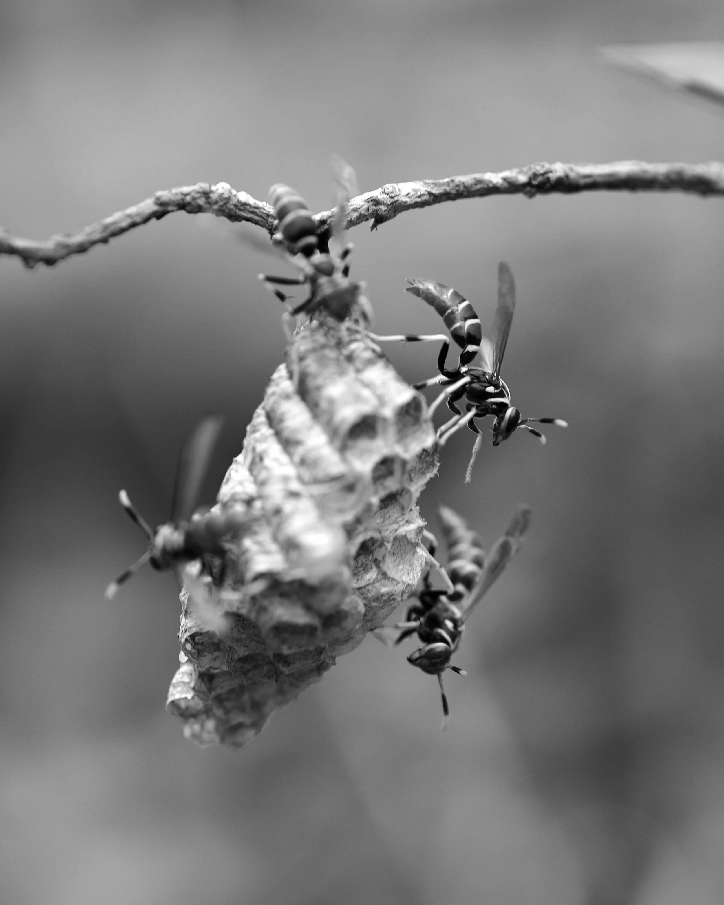 DSC01522c.jpg