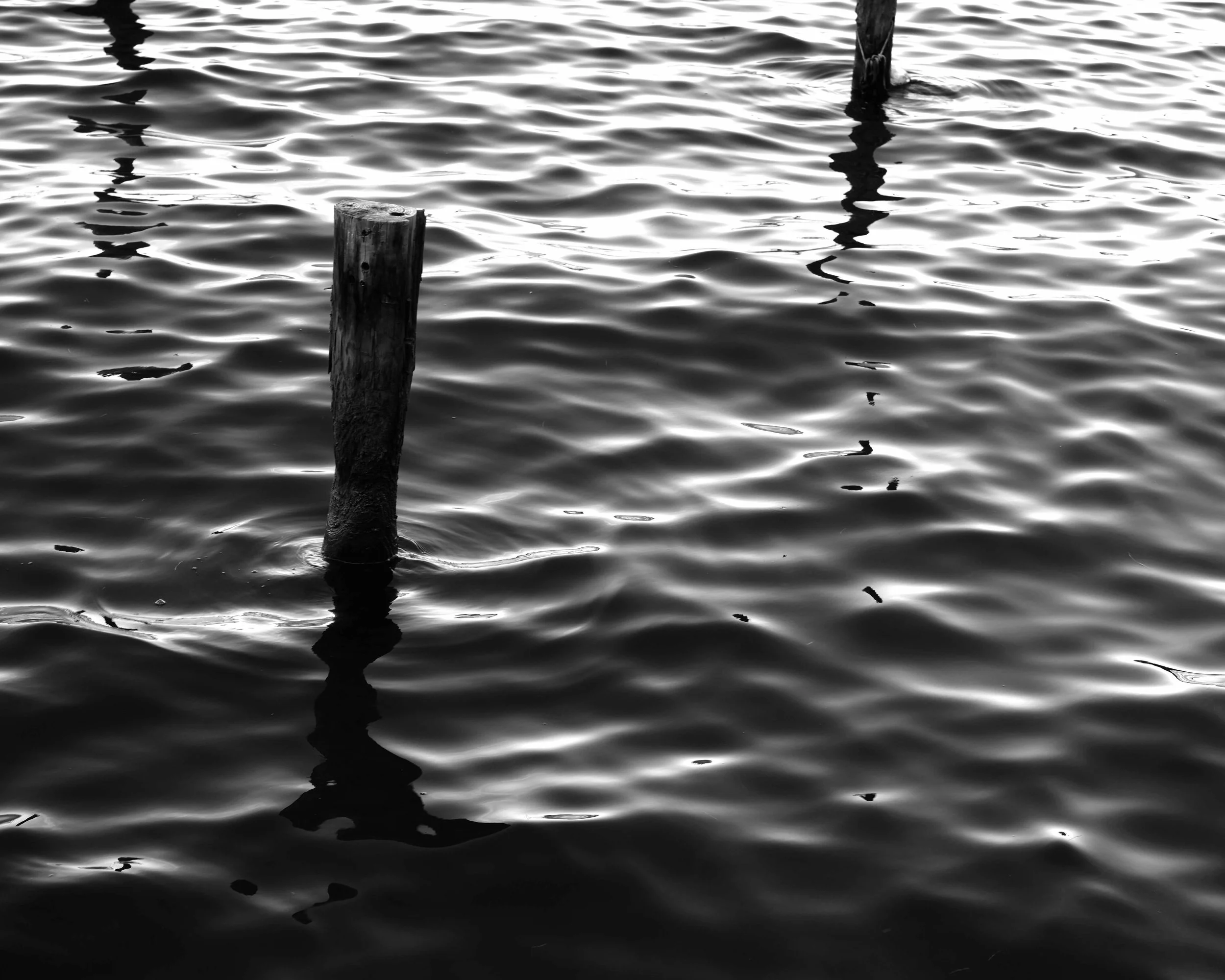 DSC02754cX.JPG
