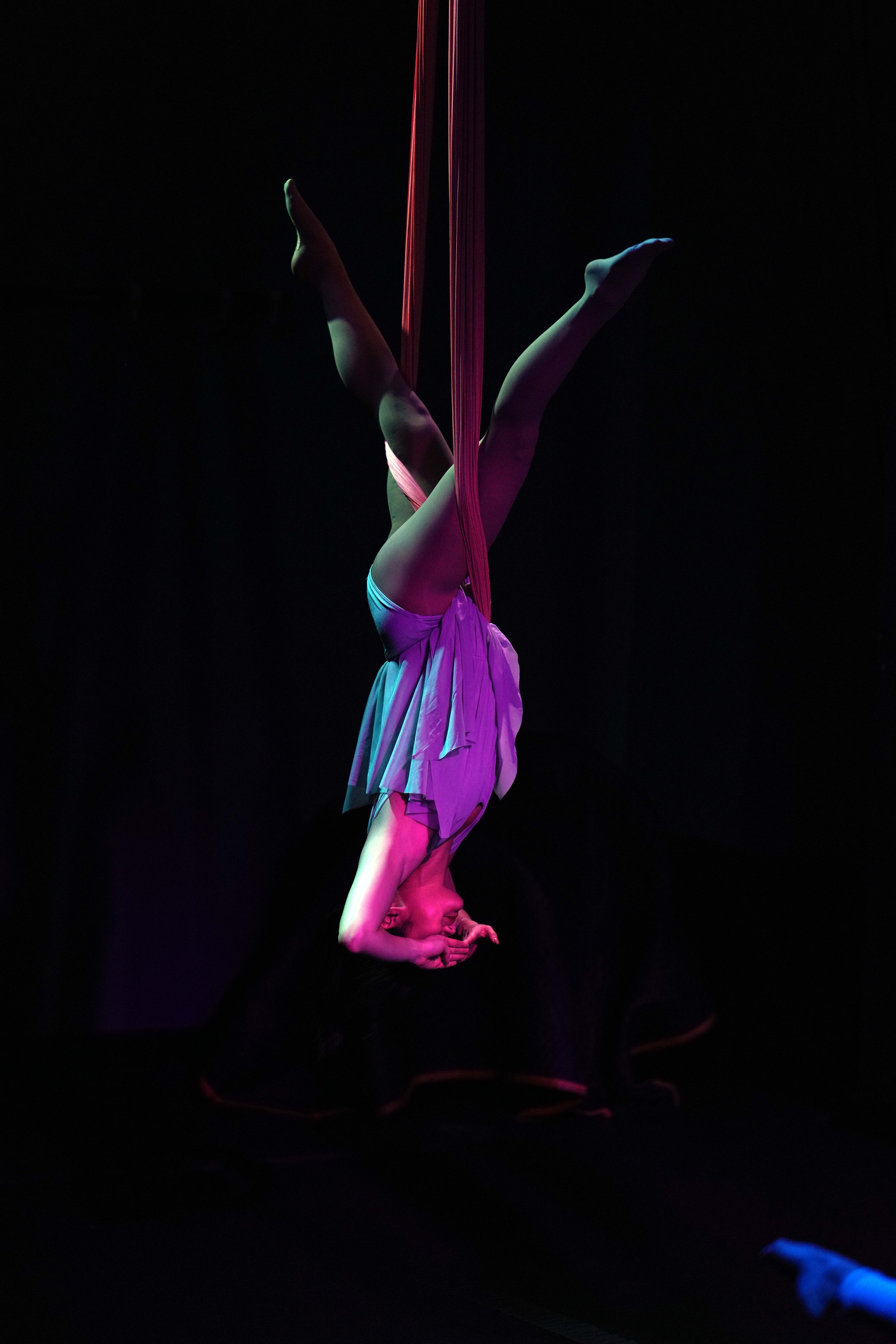 DSC01642A.jpg