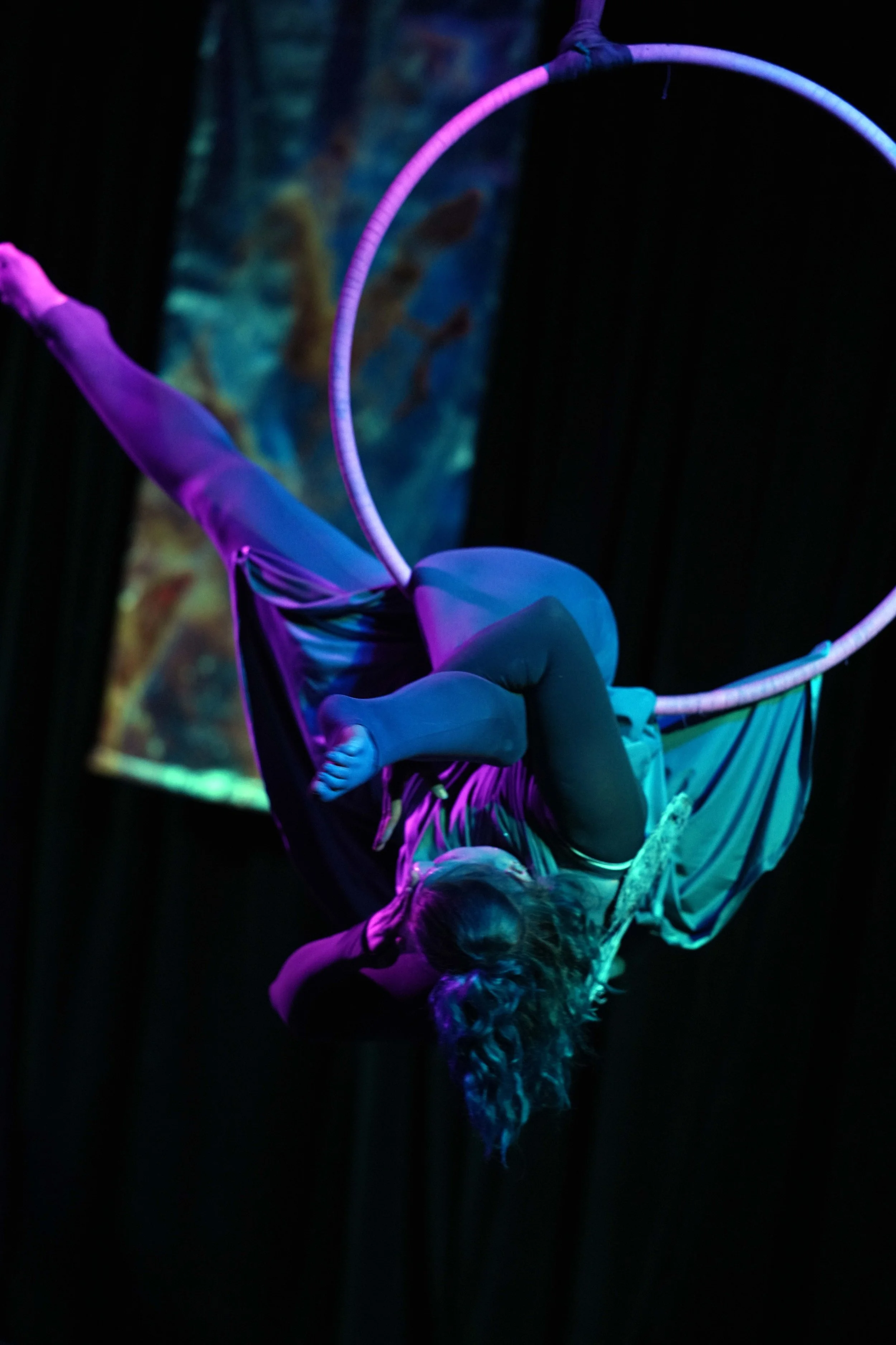 DSC08650A.jpg