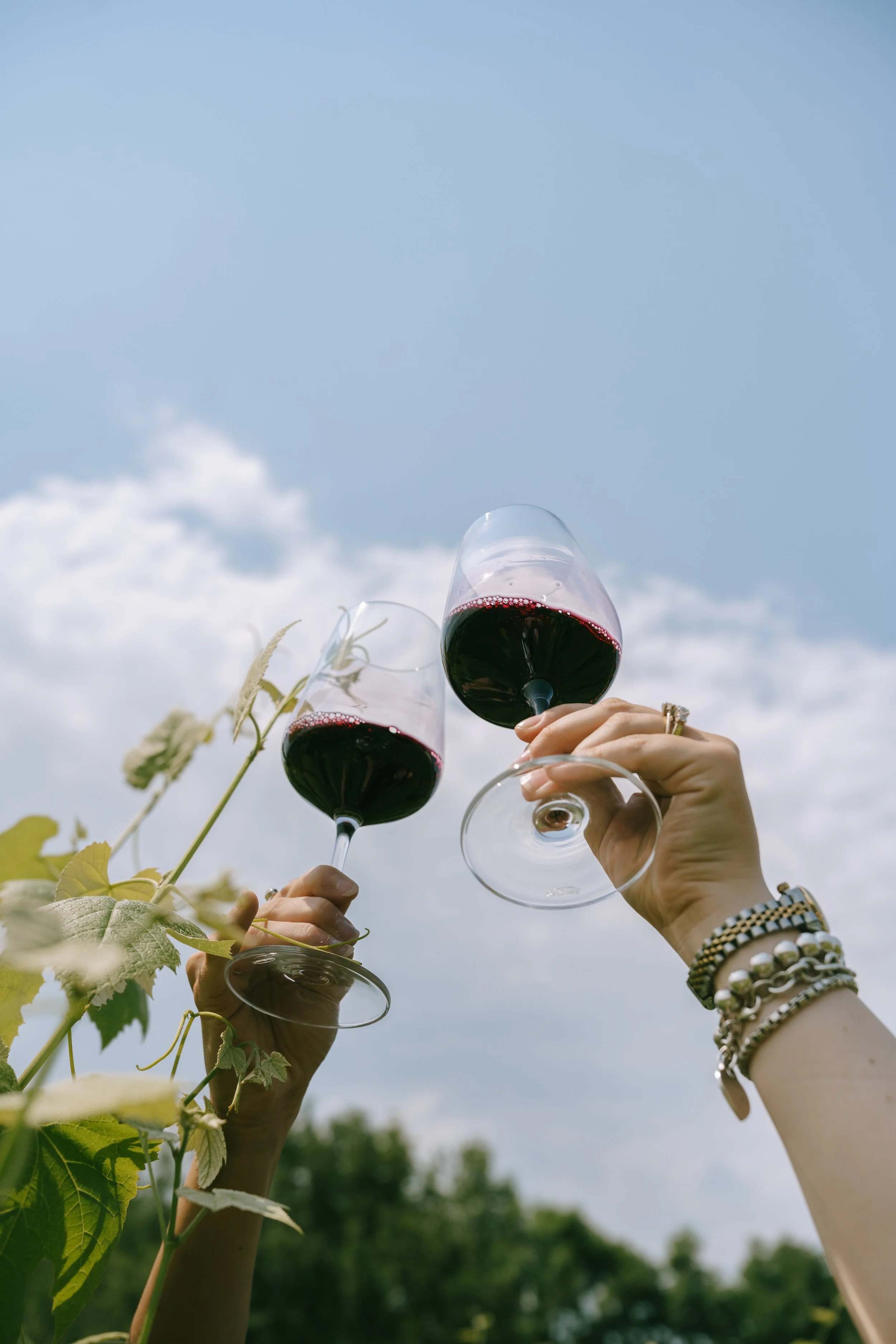 SummerWineFair-33.jpg
