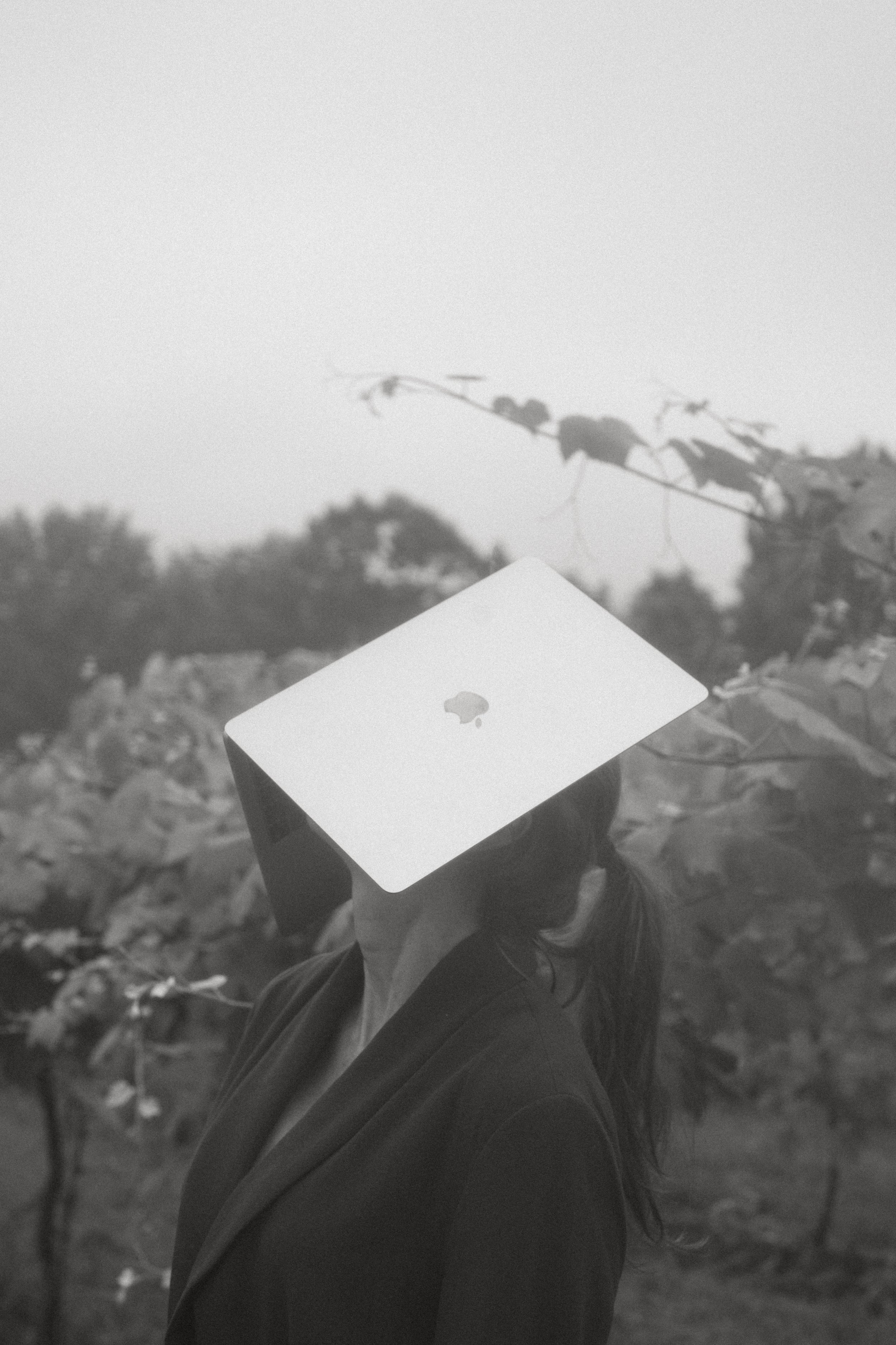 Supporting Nova Scotia Brands With Thoughtful Strategy and Modern Creative