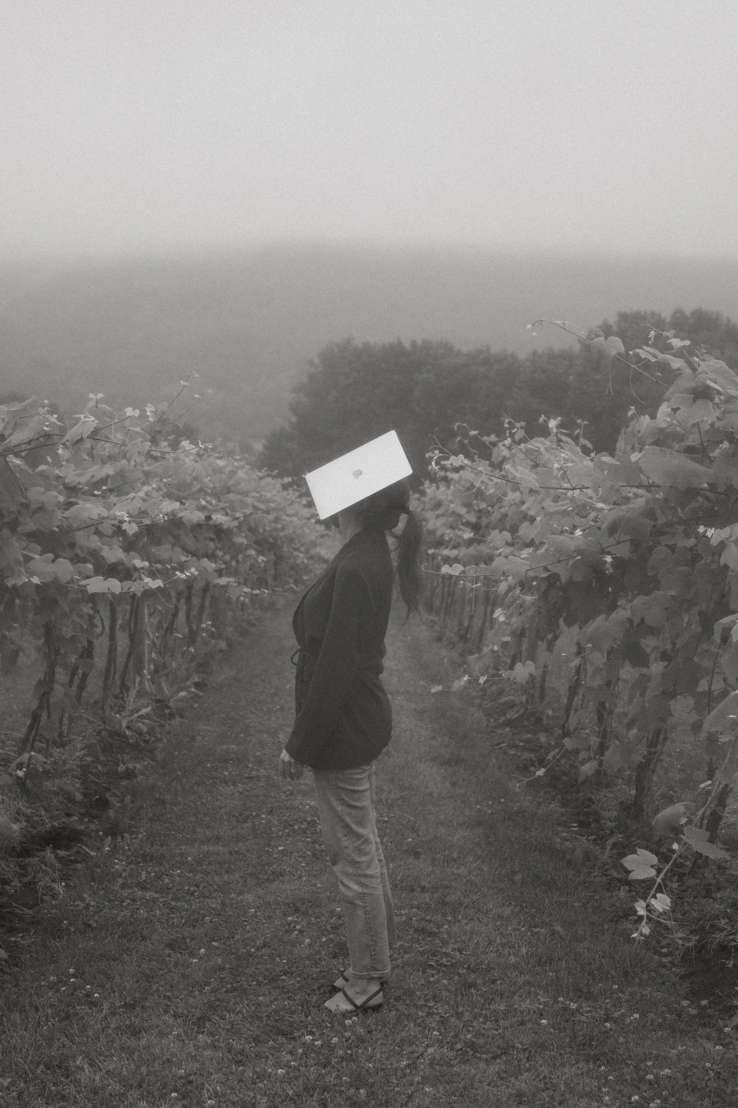 A woman standing in a vineyard with vine rows on either side, wearing a black mask and a rectangular white sign on her head, dressed in a dark jacket, jeans, and sandals, in black and white.