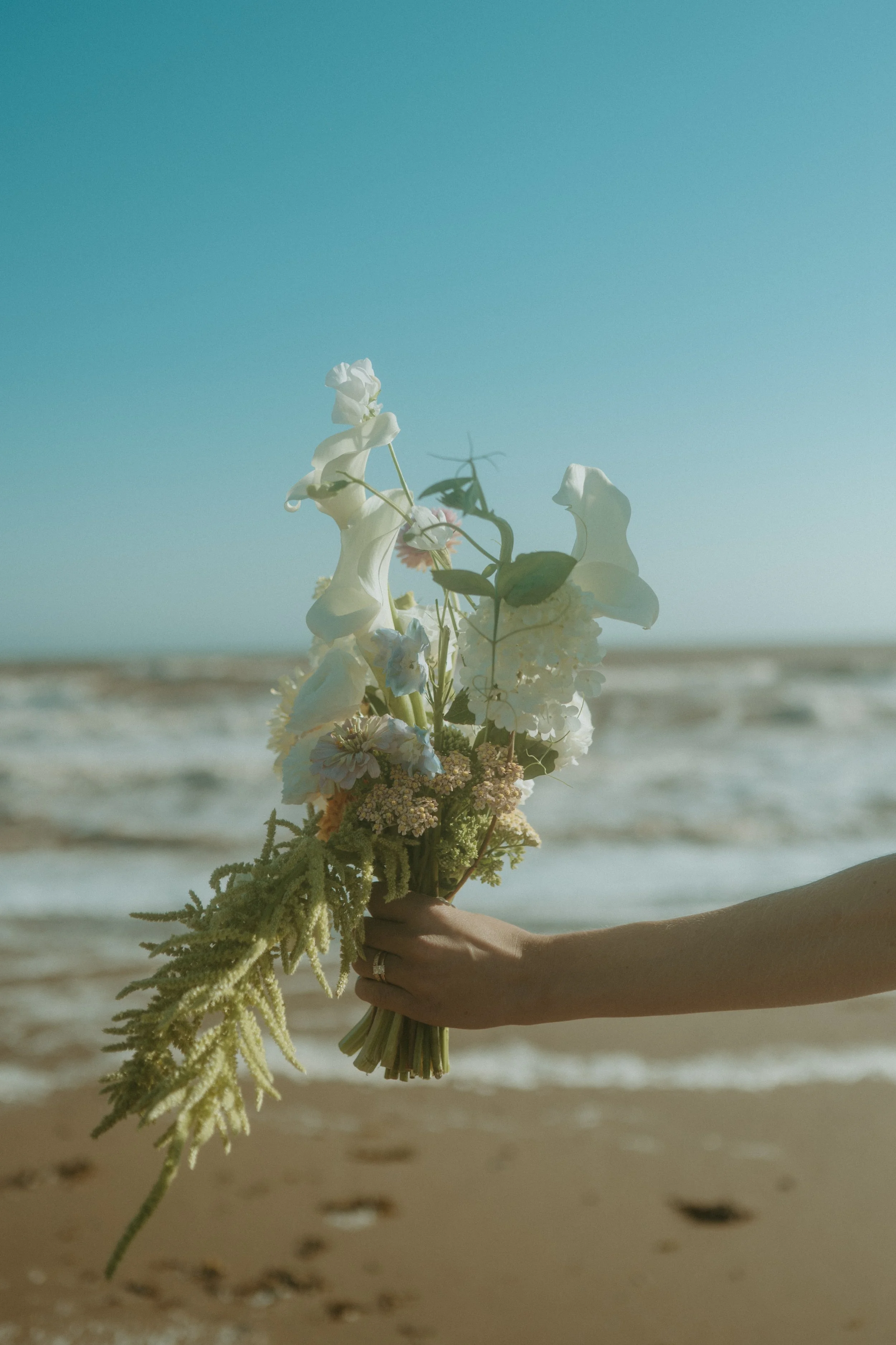 Sandra&SethElopement-65.jpg
