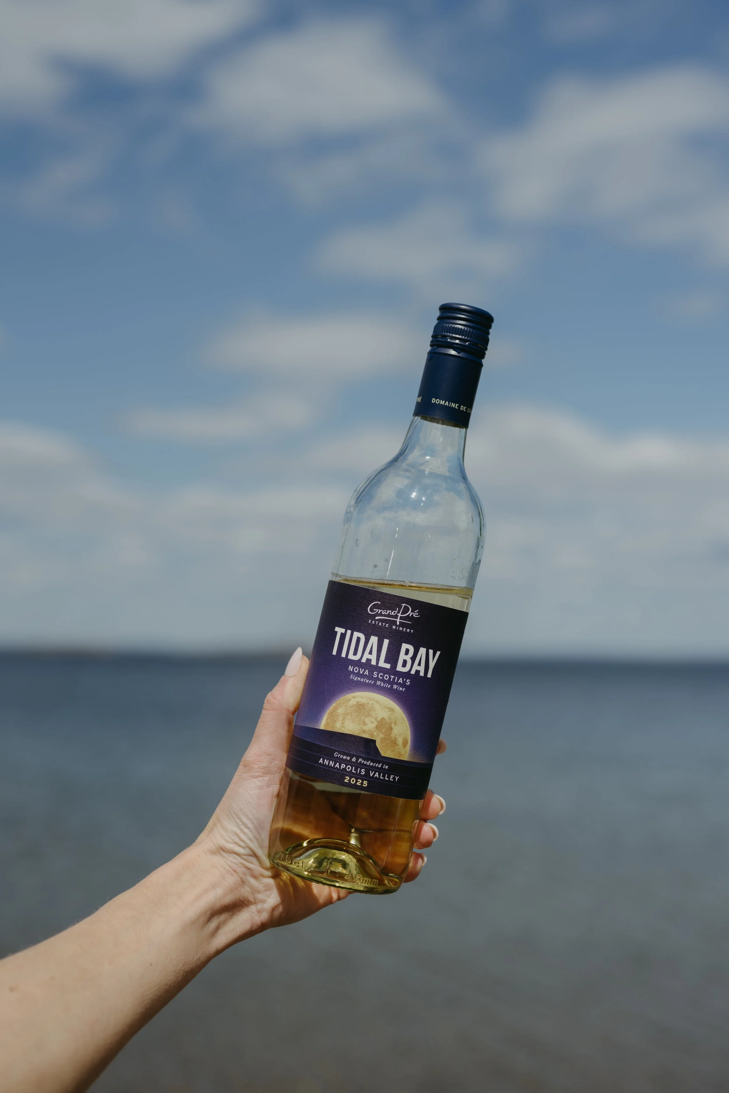 Hand holding a bottle of wine, against the ocean and blue sky, in Nova Scotia