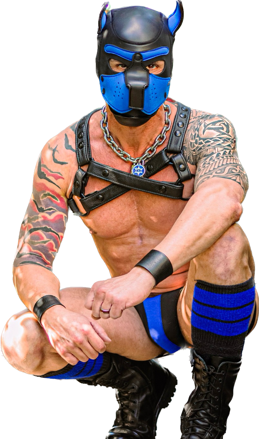 Pup Kilo / Gryphon Ashe