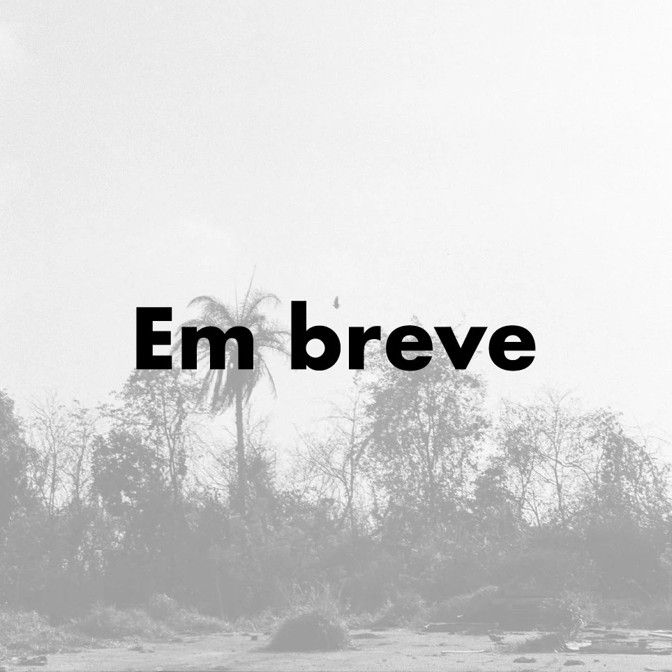 em breve patinho feio.jpg