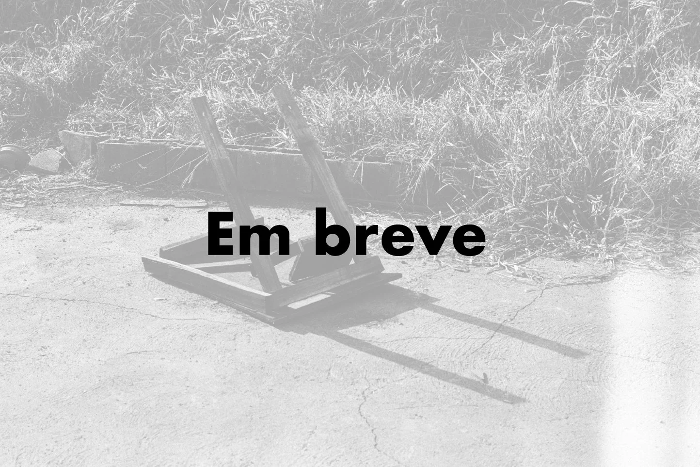em breve le vintage.jpg