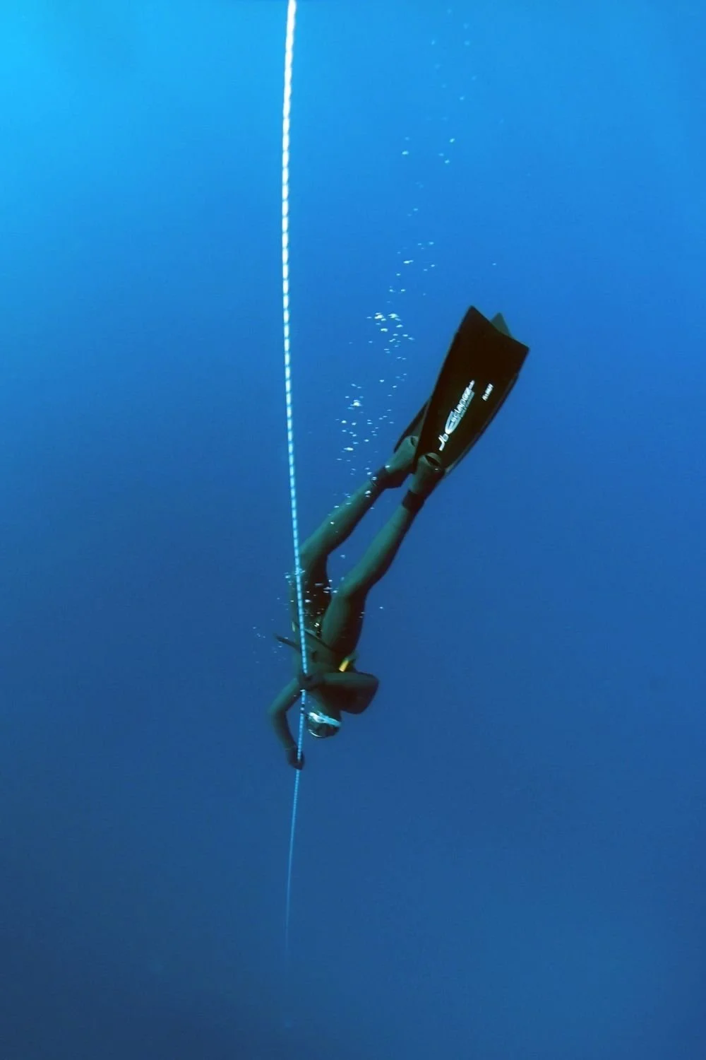 A diver underwater holding a measuring line.