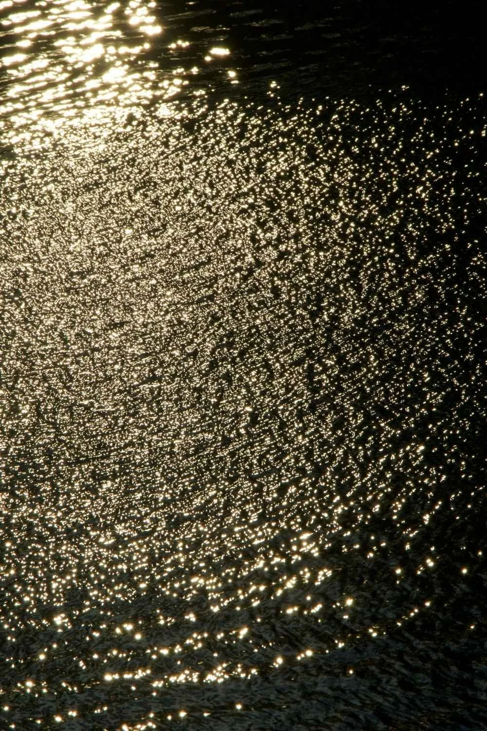 Sunlight reflecting off the surface of water, creating a sparkling effect.
