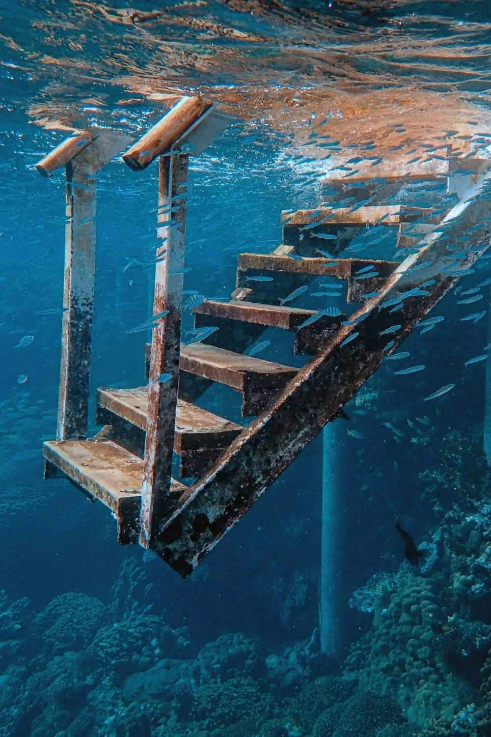 Underwater view of rusted stairs leading to a sunken structure, surrounded by small fish and coral reef.