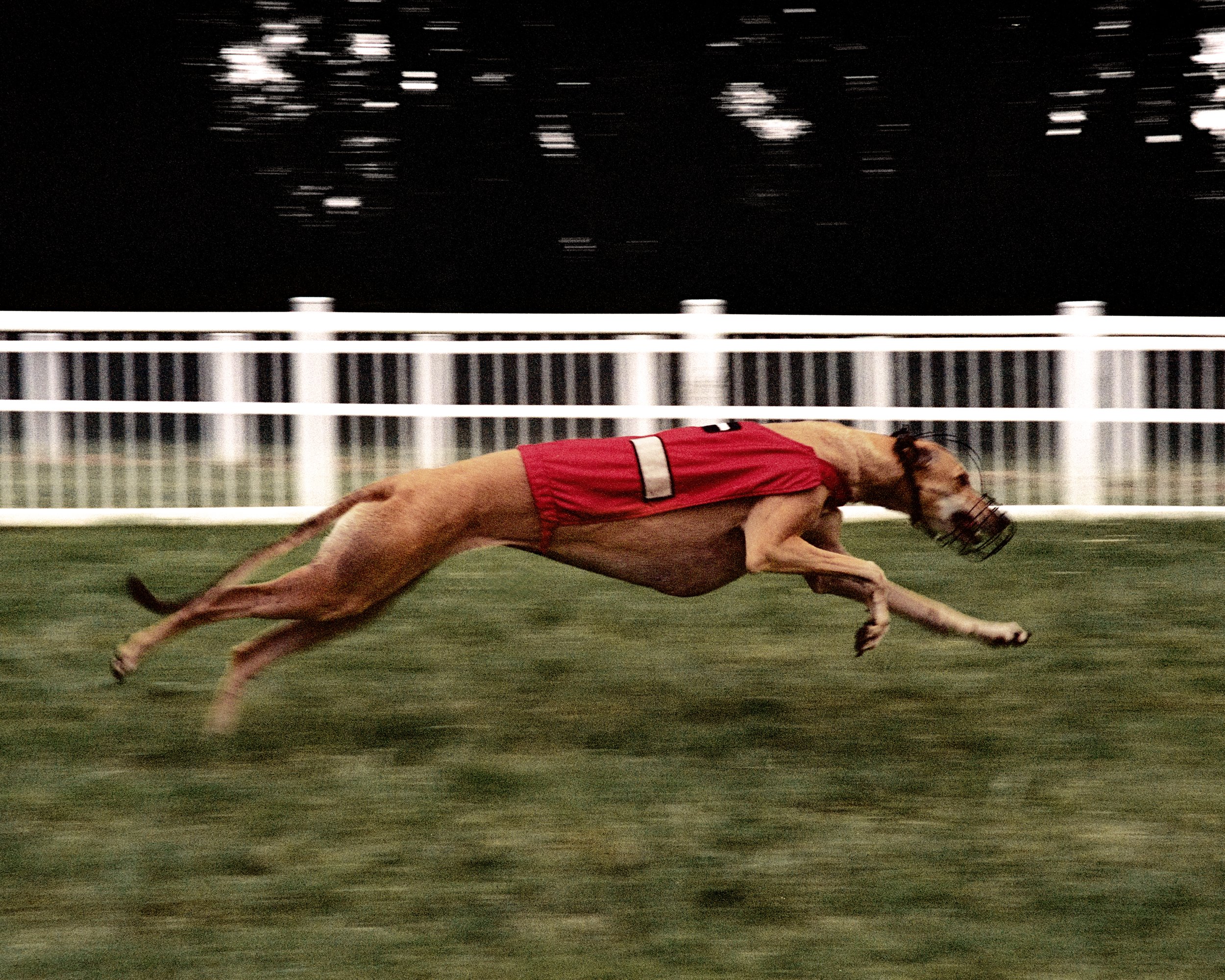 Scan nega 202539931_R3-10.JPG