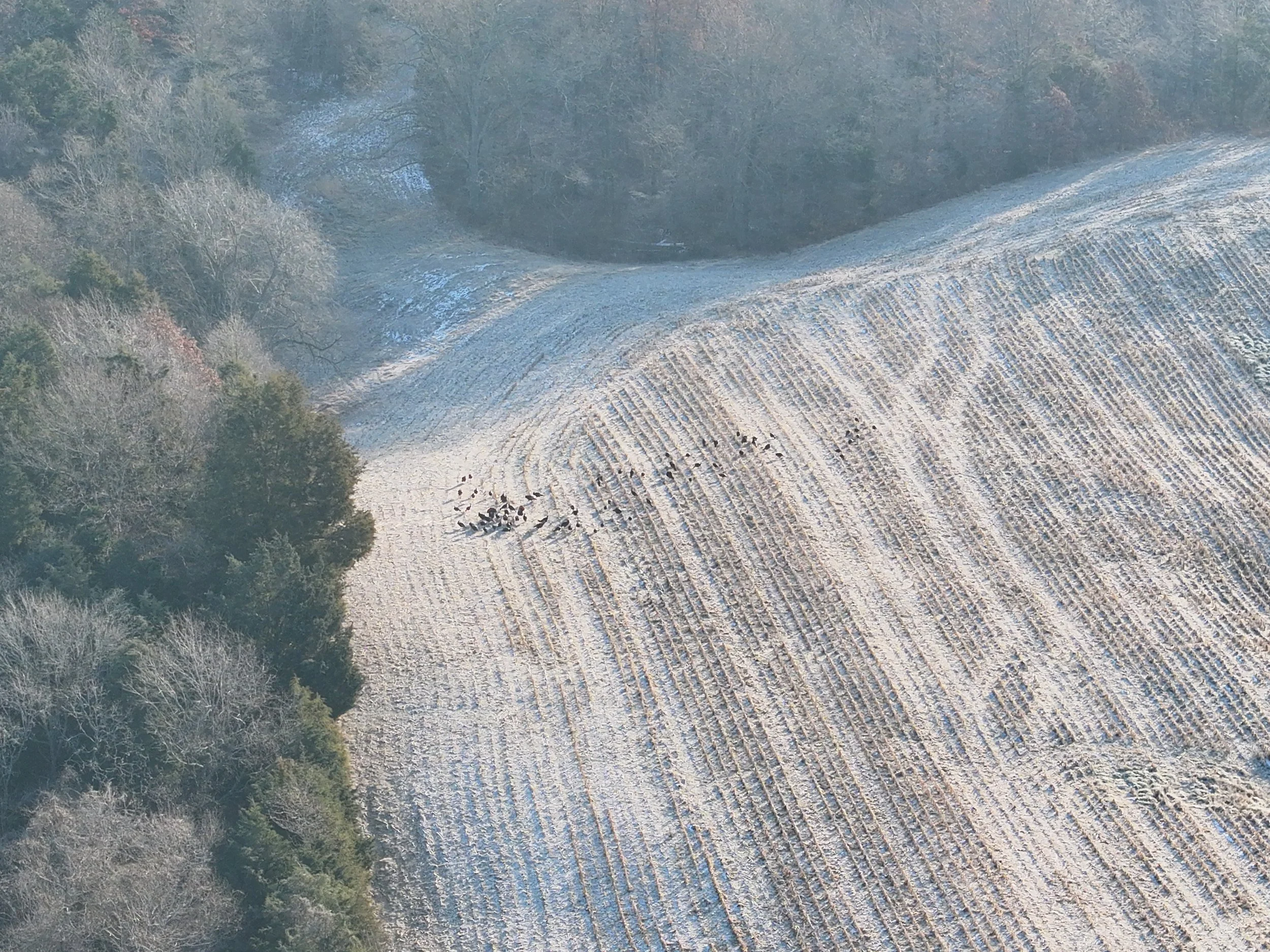 DJI_20251215090315_0001_V.JPG