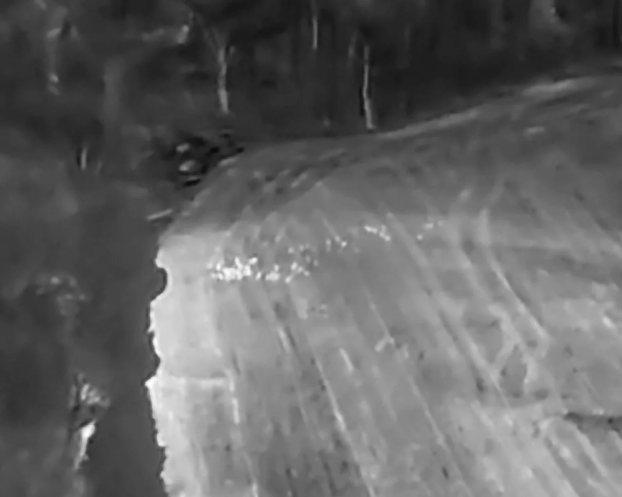 DJI_20251215090315_0001_T.JPG