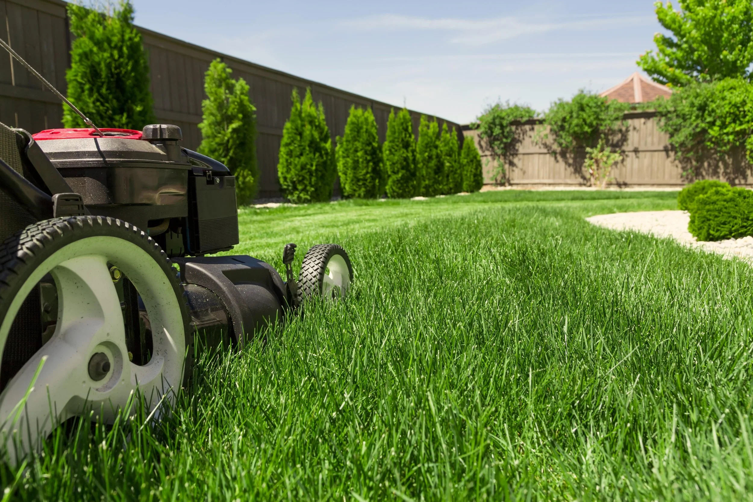 Lawn Care