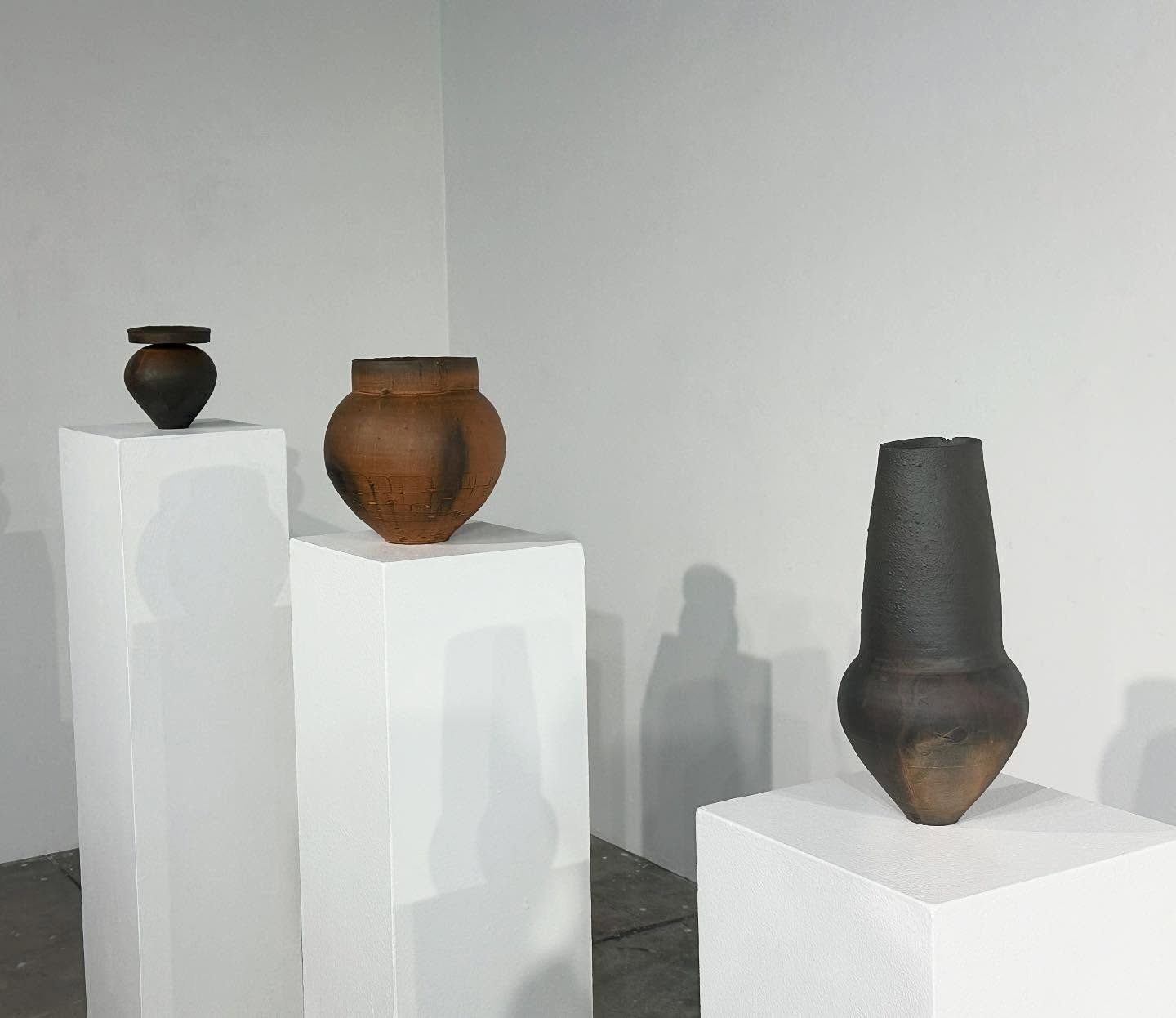 Snap shot from my oral defense. 

#ceramics #clay #art #pots #vase #terrasigillata #earthenware #vase #intriordesign #design #himom