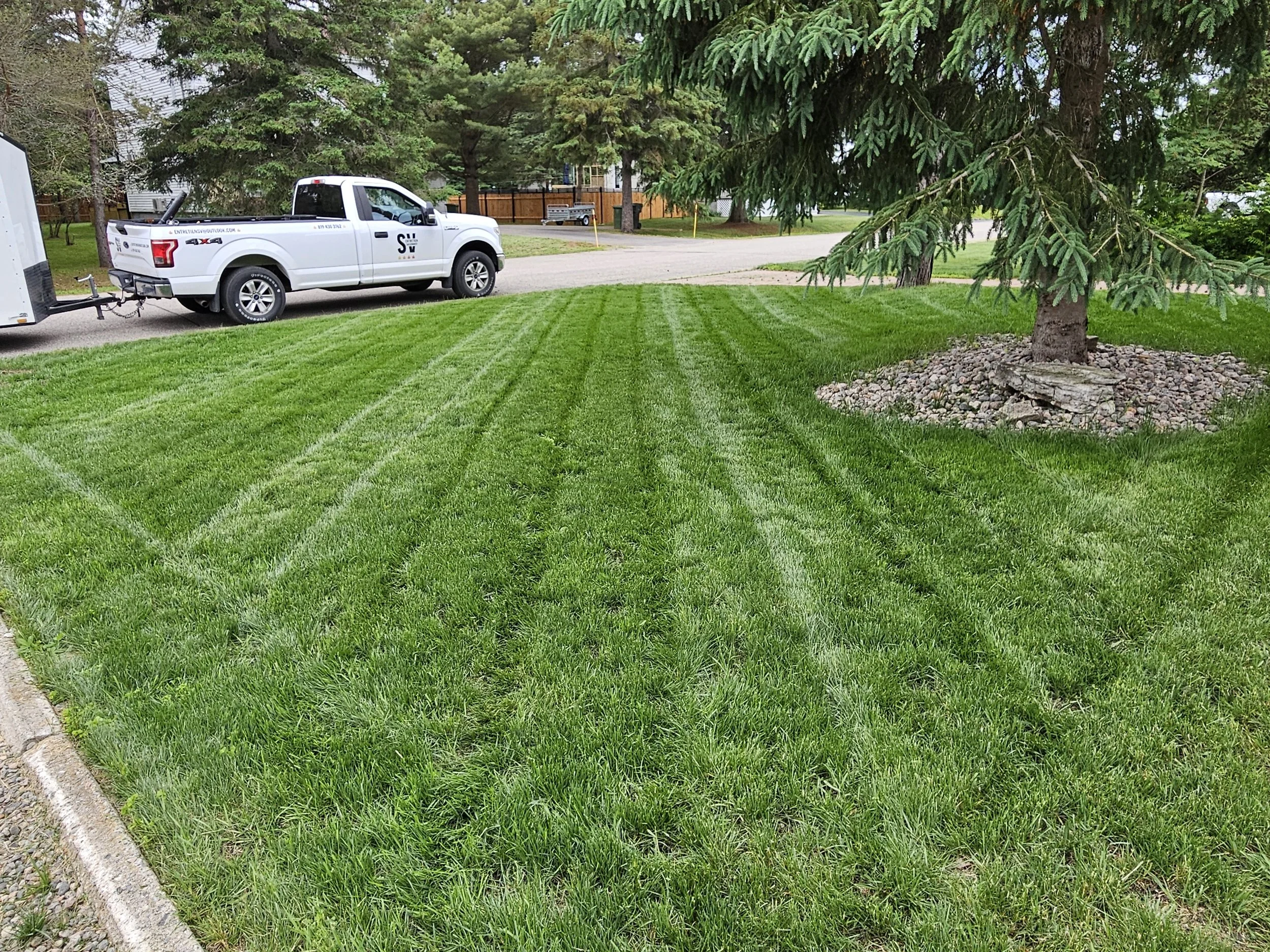 Entretien de pelouse programmé