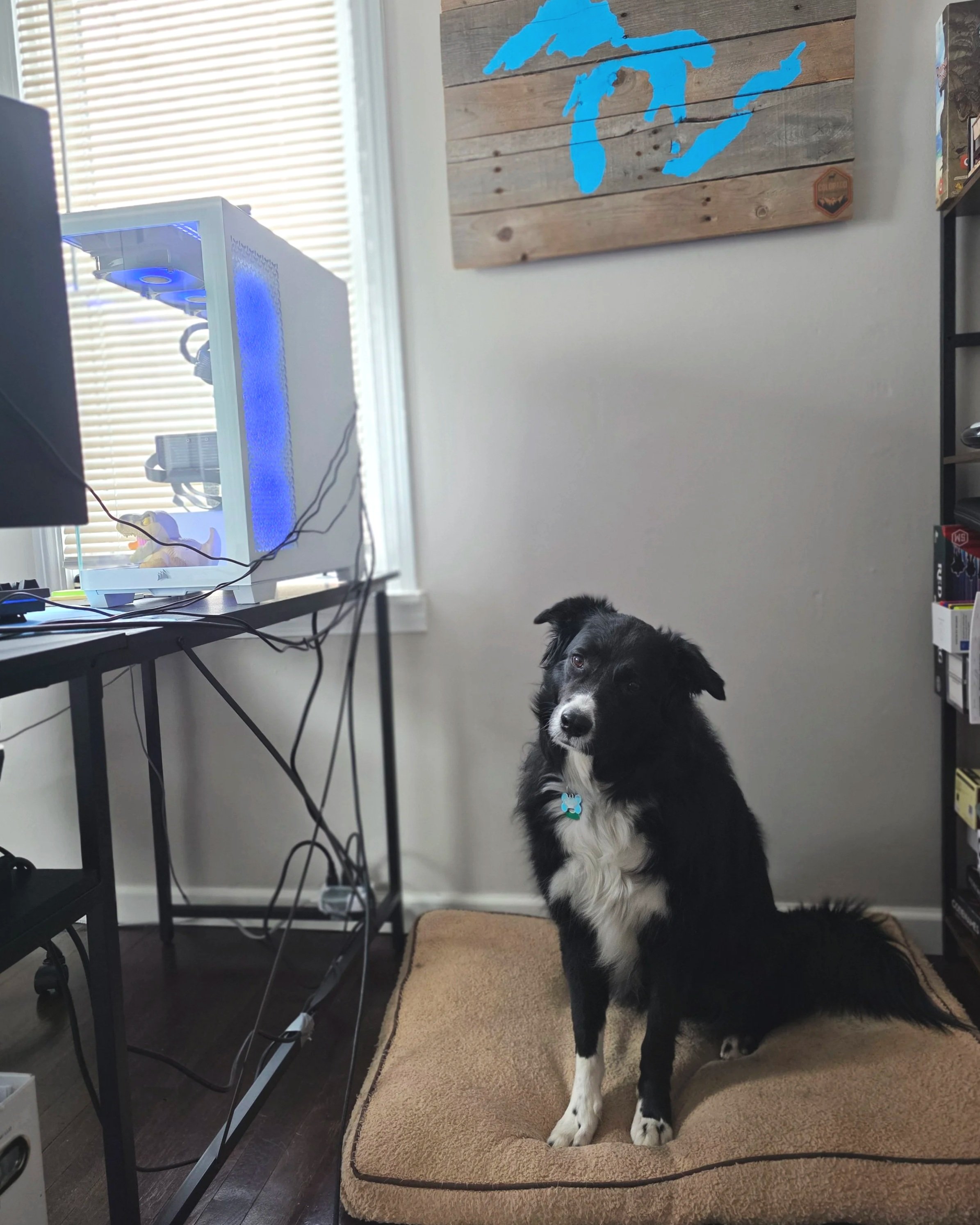A black and white dog sitting on a beige dog bed in a room, with a computer desk, wires, a computer case with blue lights, a window with blinds, and a Michigan-themed wooden wall hanging.