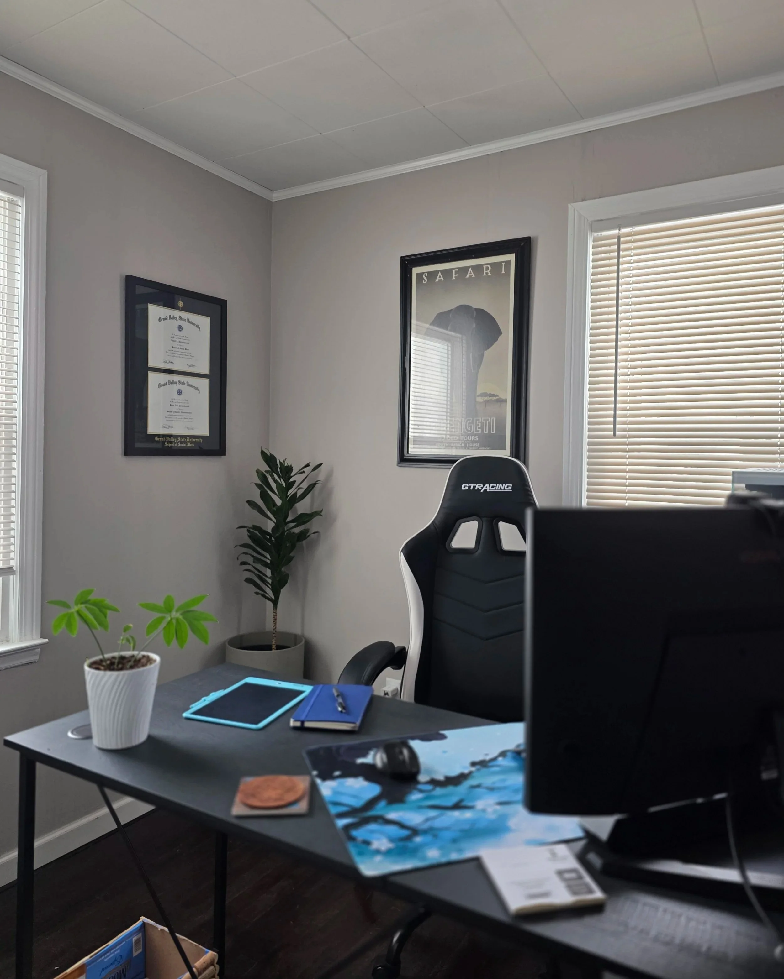 An office with a black desk, a black and white gaming chair, two potted plants, a framed diploma, a framed safari poster, and a window with closed blinds.