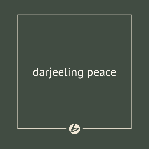 darjeeling peace