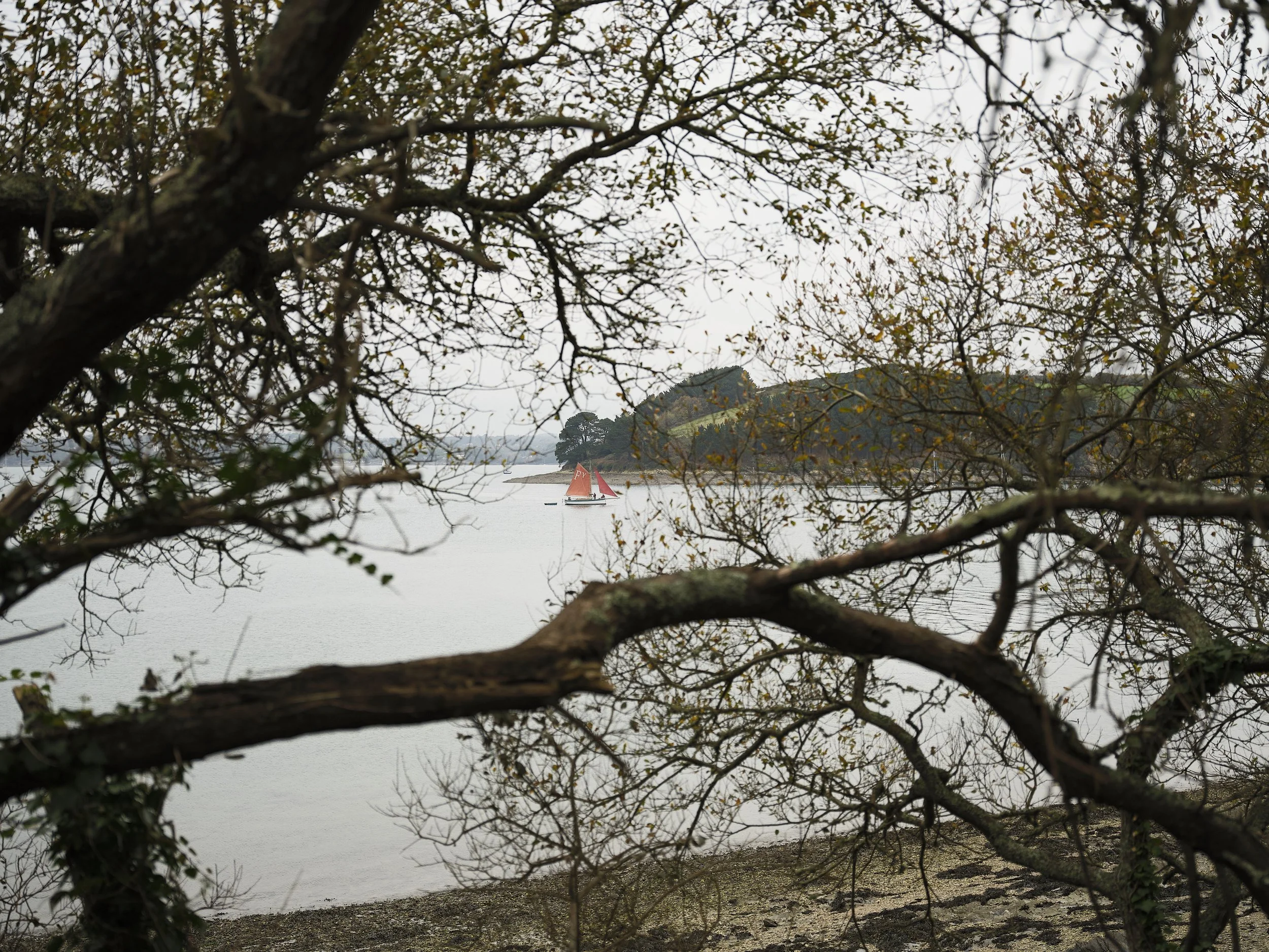 _DSF0850_01143.jpg