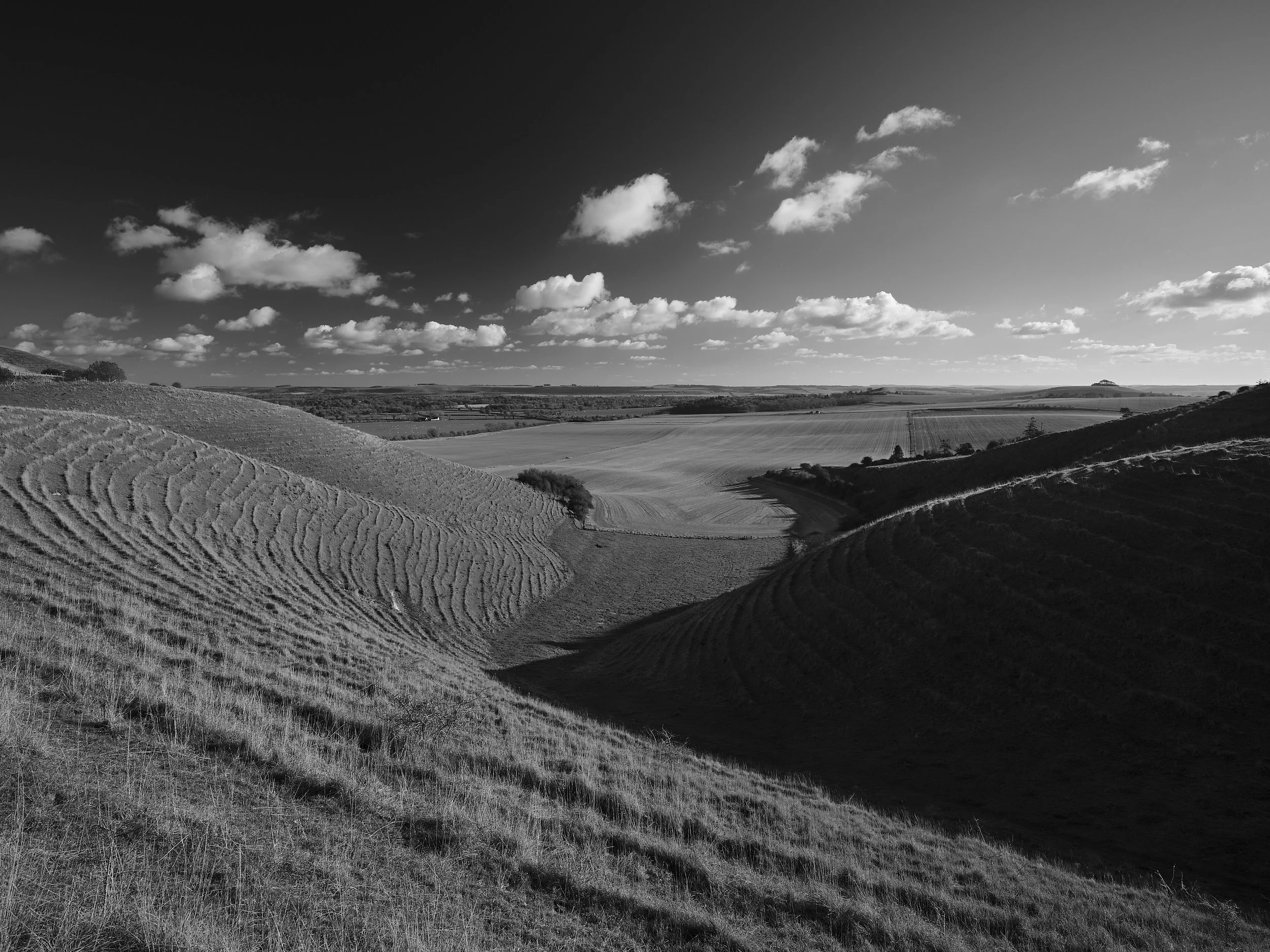 _DSF0004_01047.jpg