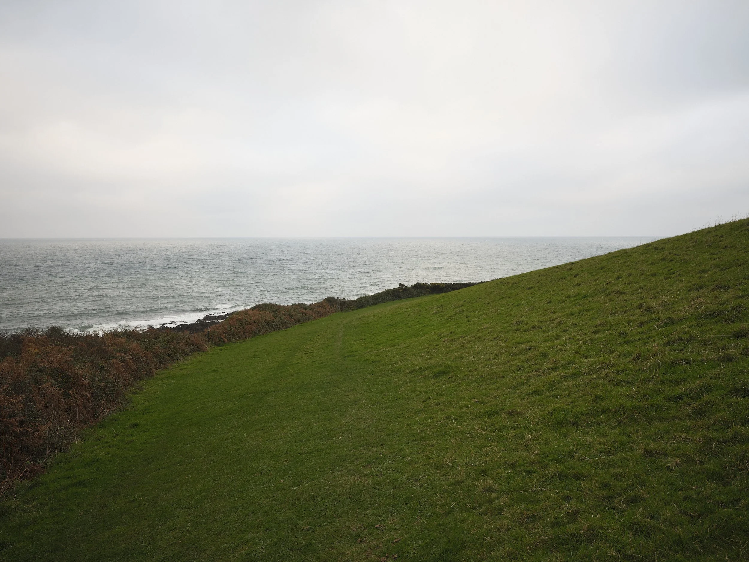 _DSF0995_01146.jpg